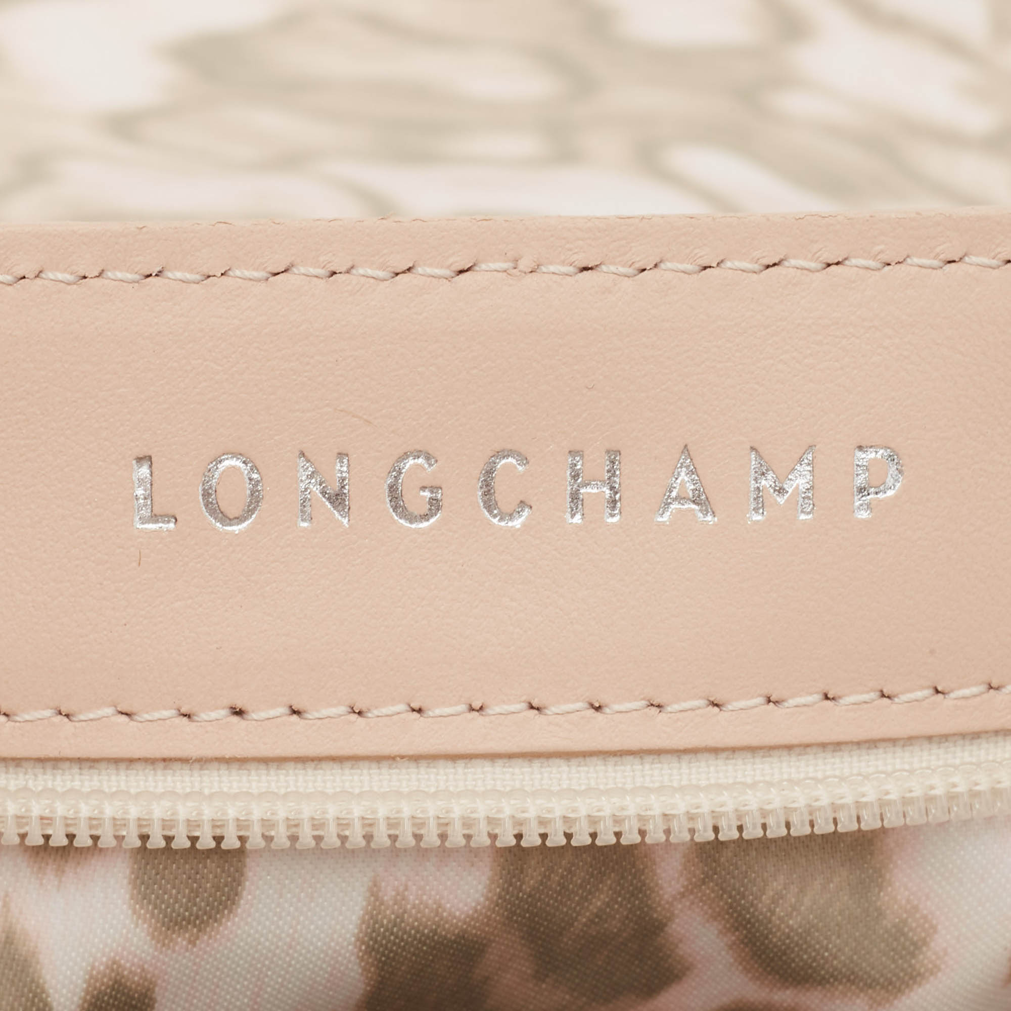 Longchamp Light Peach Leather Amazone Shoulder Bag