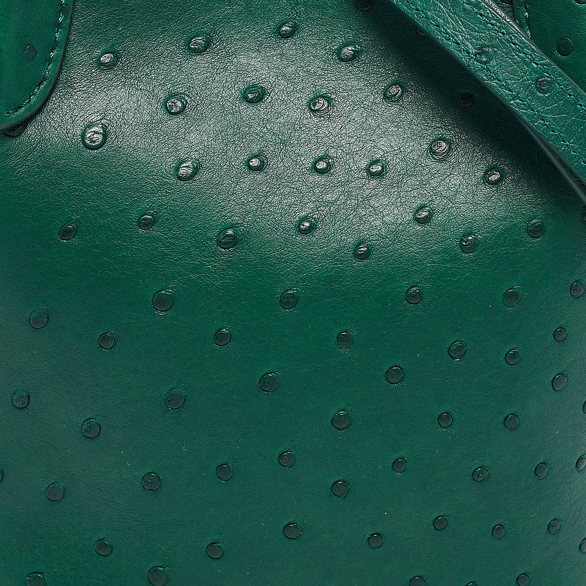 Loro Piana Green Ostrich Micro Bale Bag