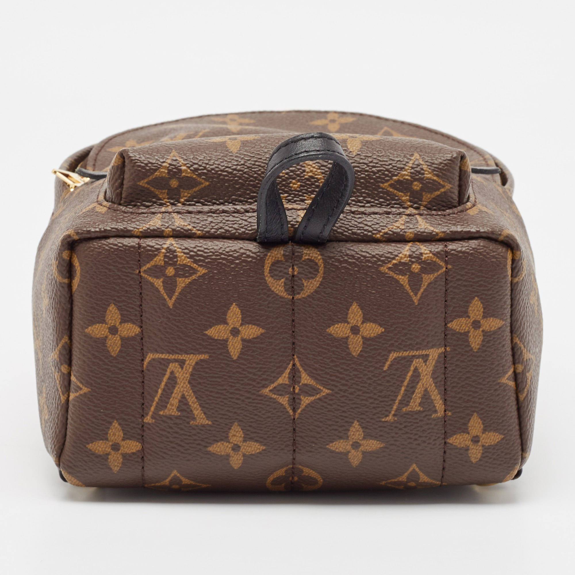 Louis Vuitton Monogram Canvas Mini Palm Springs Backpack