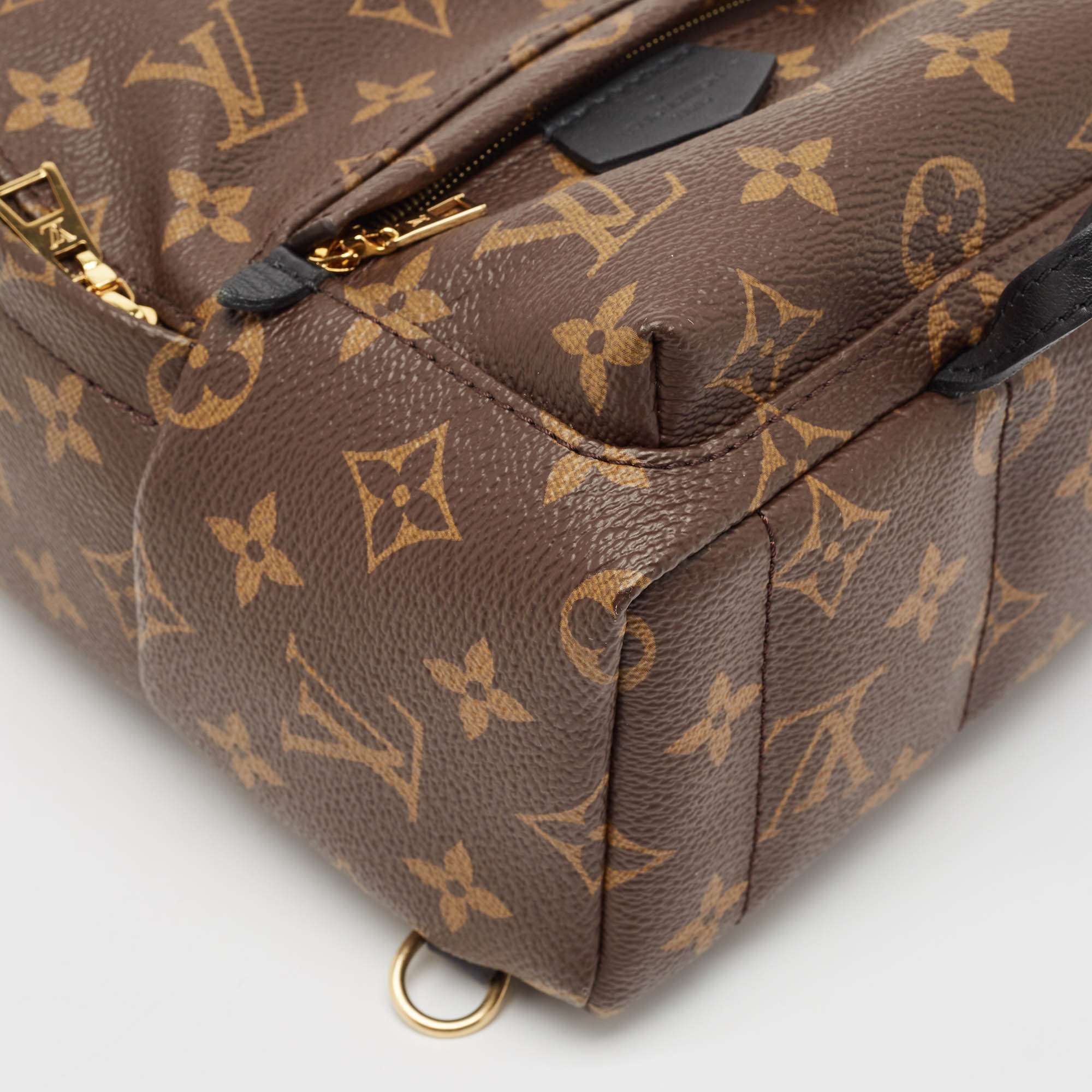 Louis Vuitton Monogram Canvas Mini Palm Springs Backpack