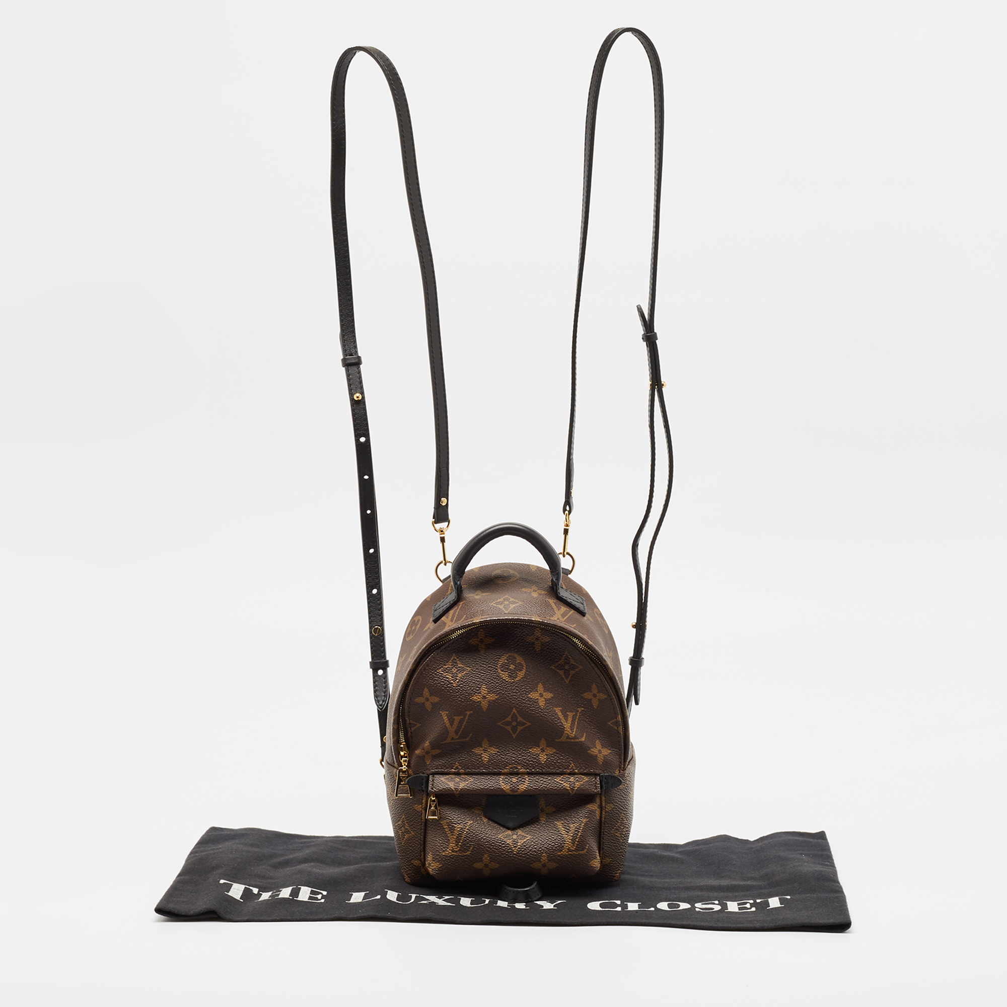 Louis Vuitton Monogram Canvas Mini Palm Springs Backpack