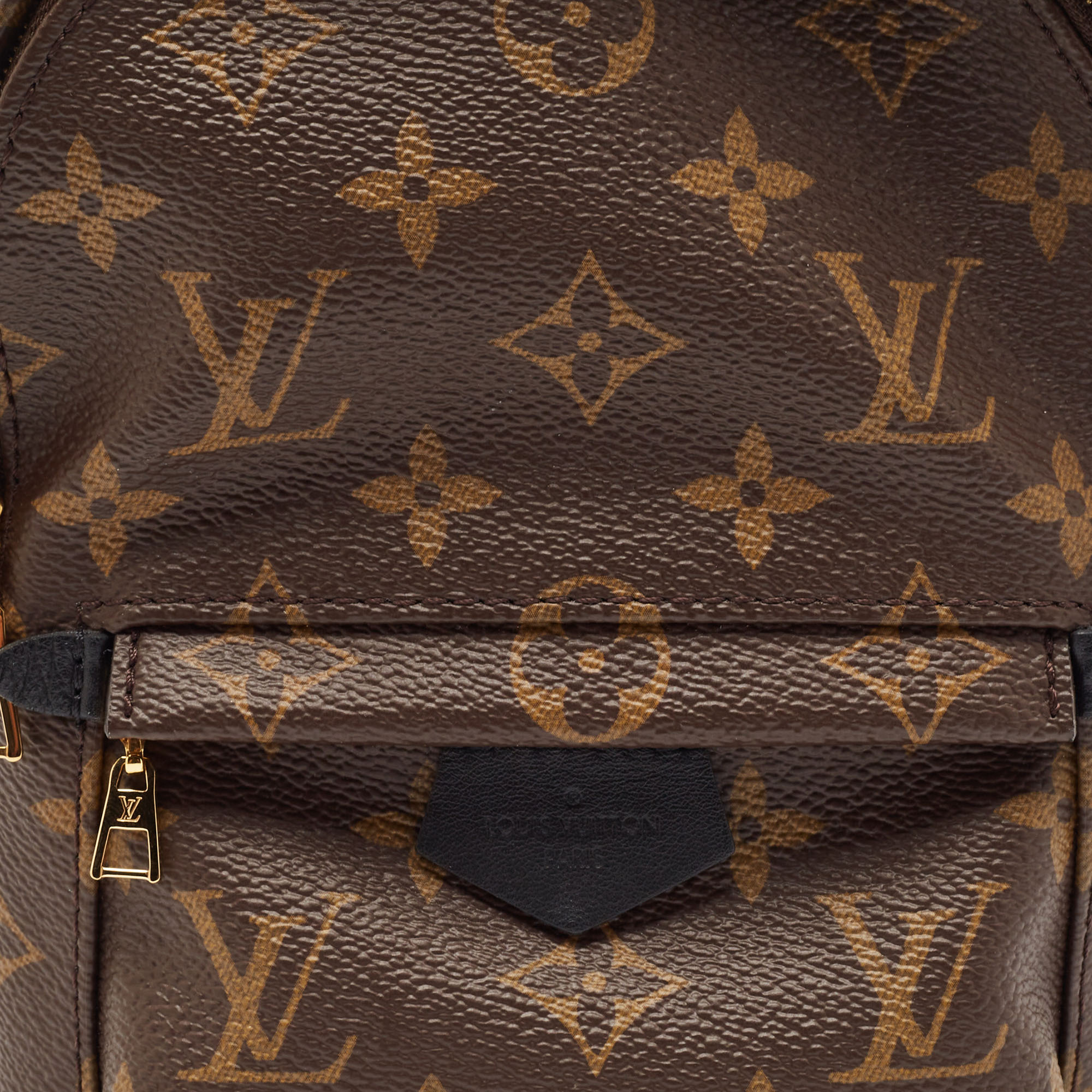 Louis Vuitton Monogram Canvas Mini Palm Springs Backpack