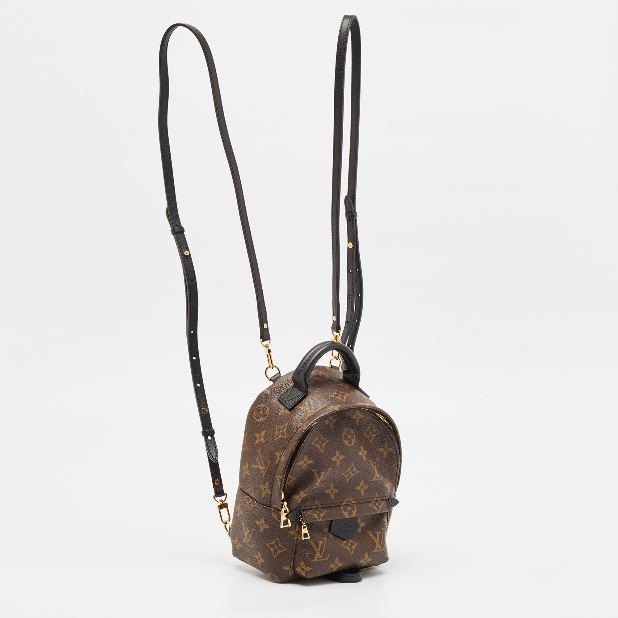 Louis Vuitton Monogram Canvas Mini Palm Springs Backpack