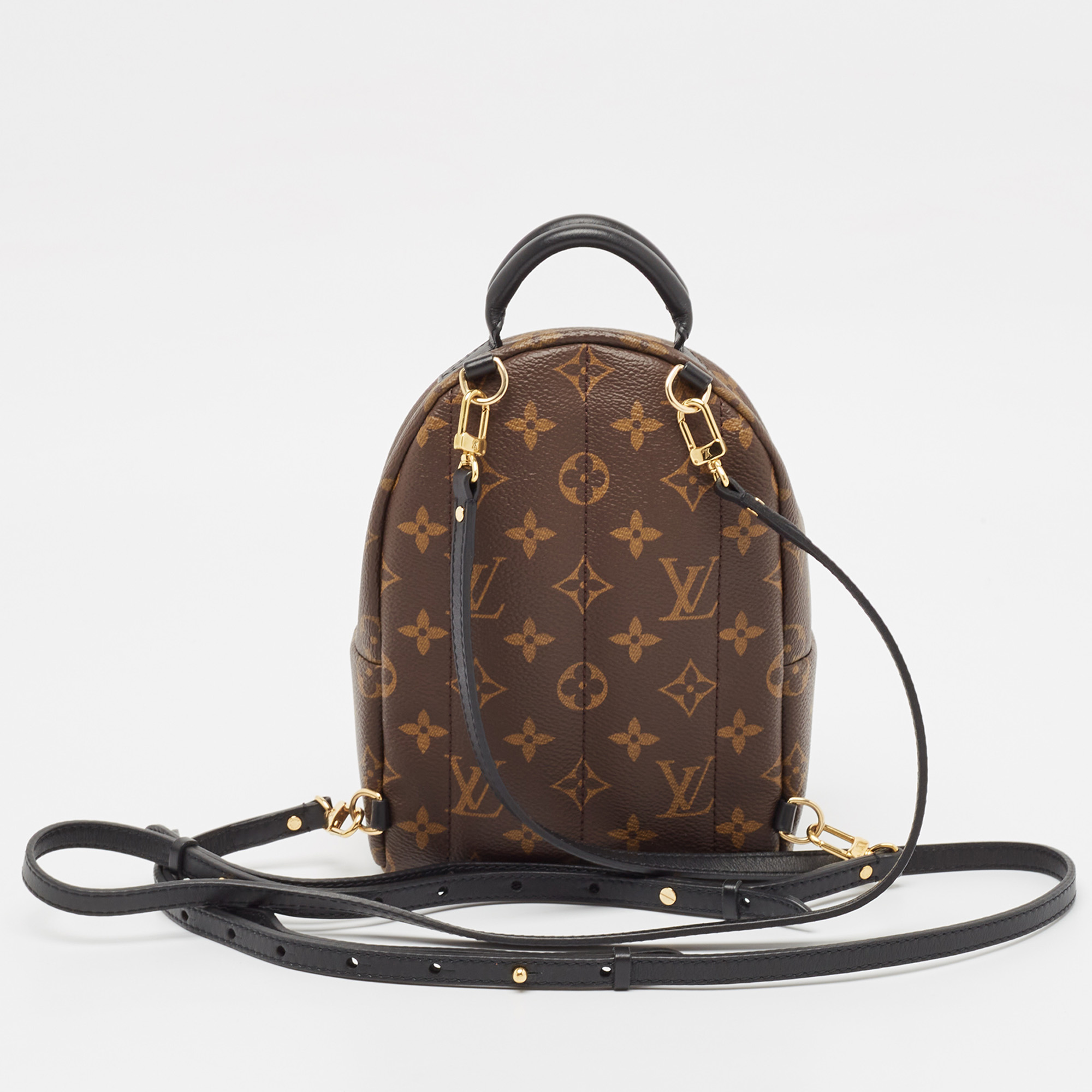 Louis Vuitton Monogram Canvas Mini Palm Springs Backpack