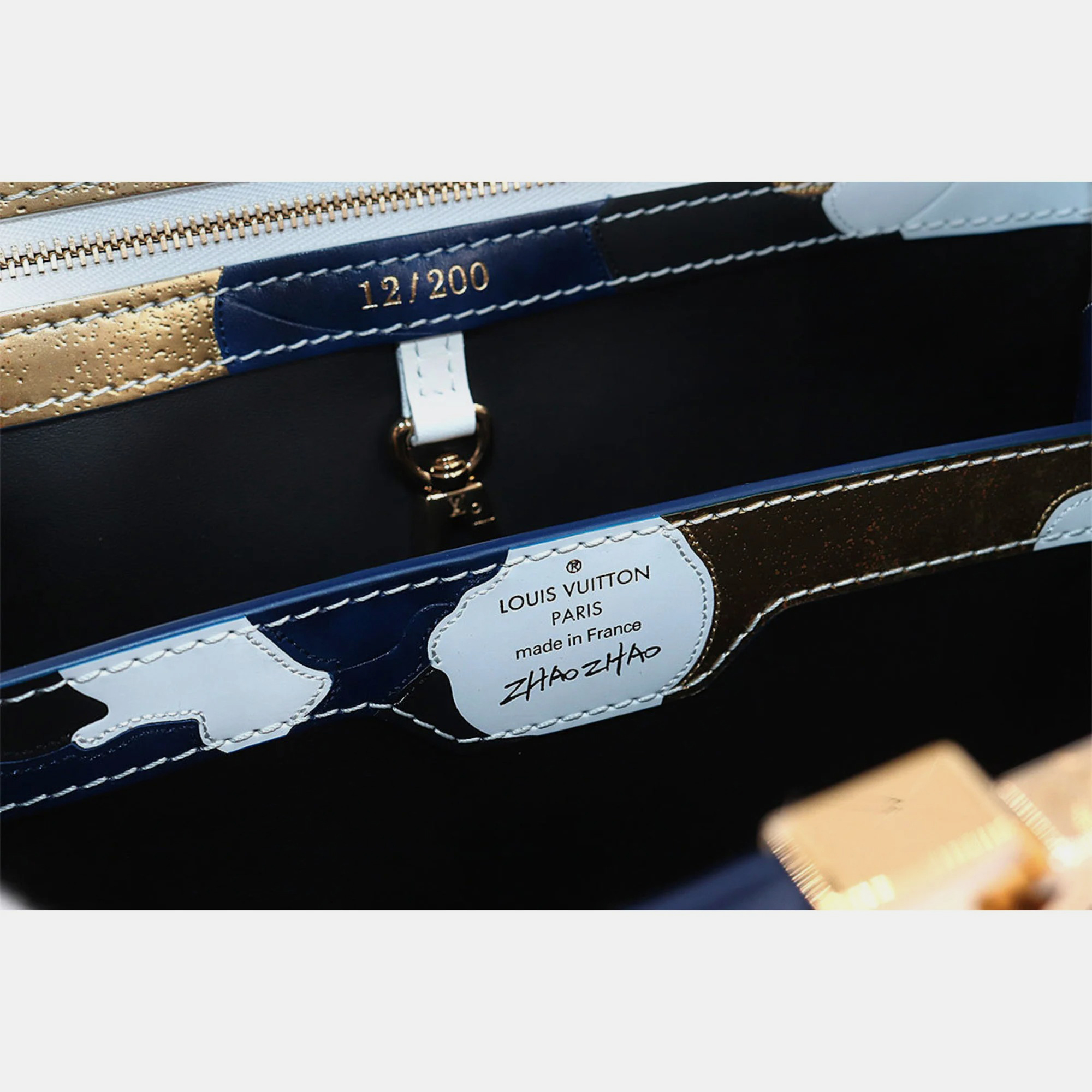 Louis Vuitton Multicolor Leather Capucines MM Top Handle Bag