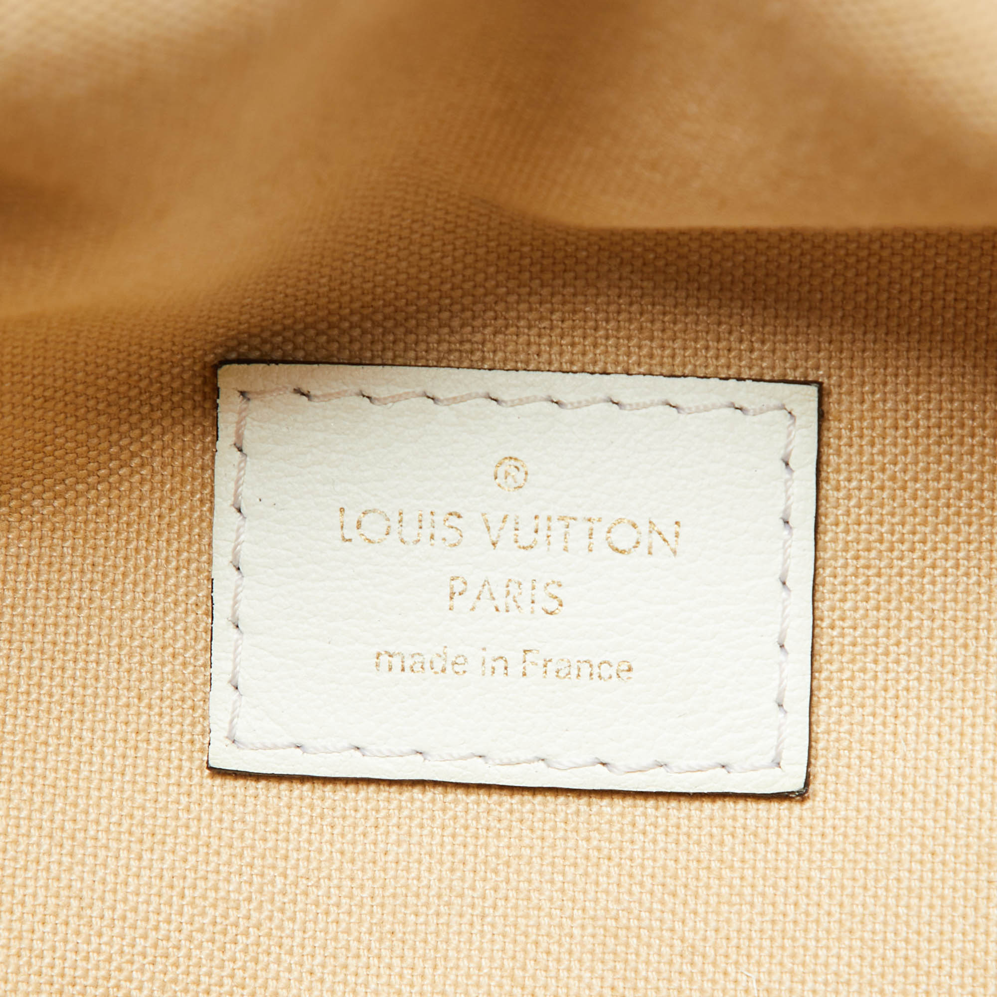 Louis Vuitton Khaki/Beige Monogram Giant Canvas Bumbag