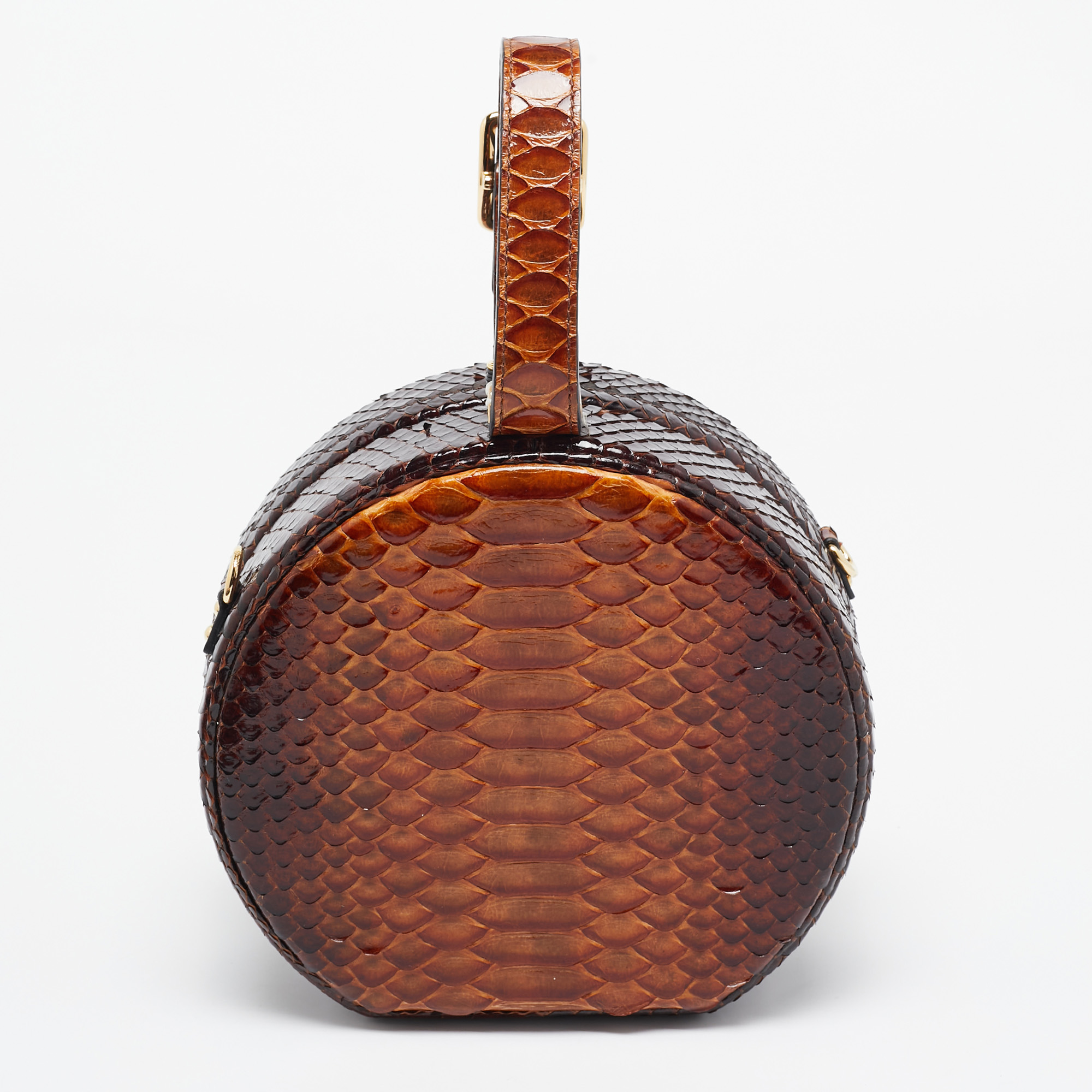 Louis Vuitton Brown Python Petite Boite Chapeau Bag