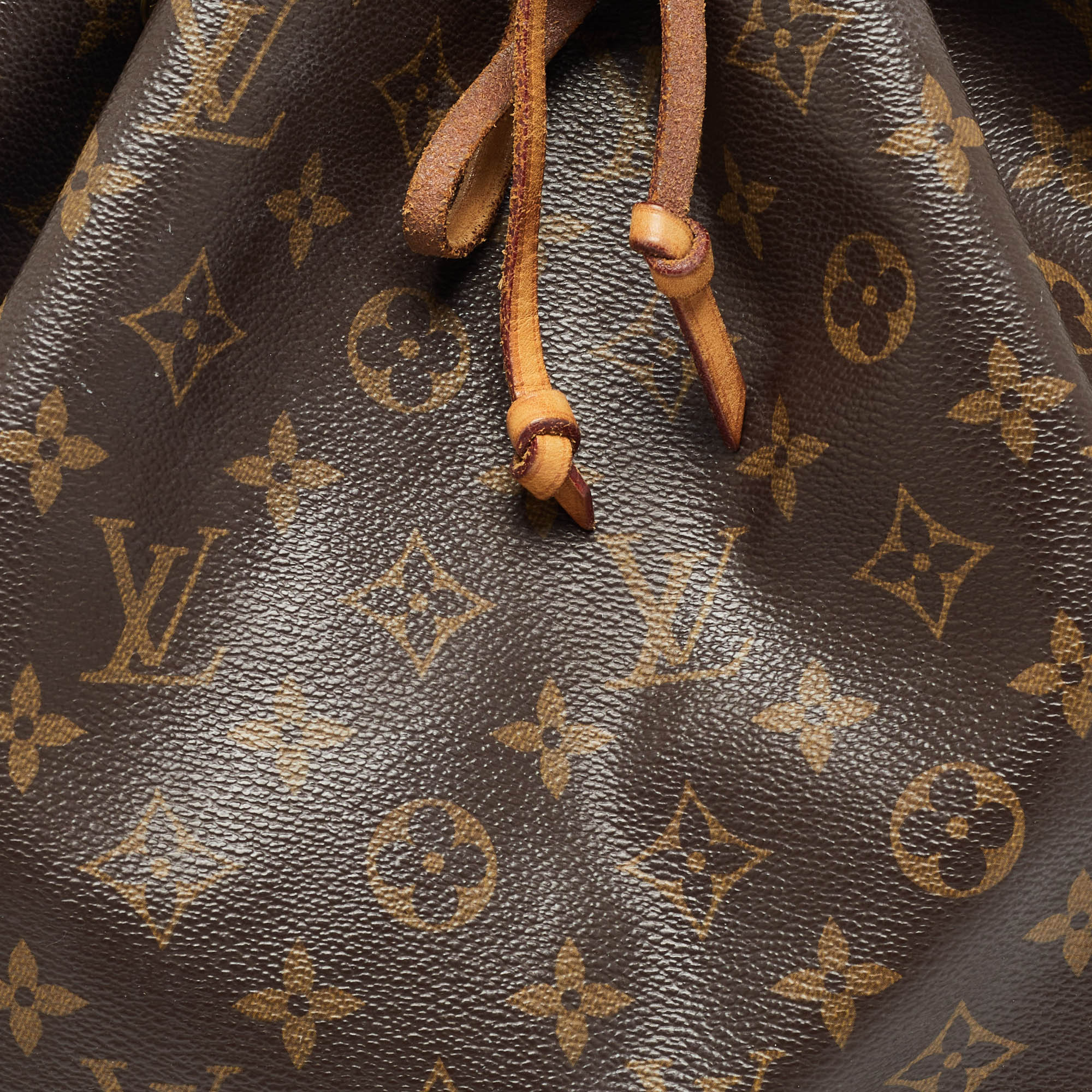 Louis Vuitton Monogram Canvas Large Noe Drawstring Bag