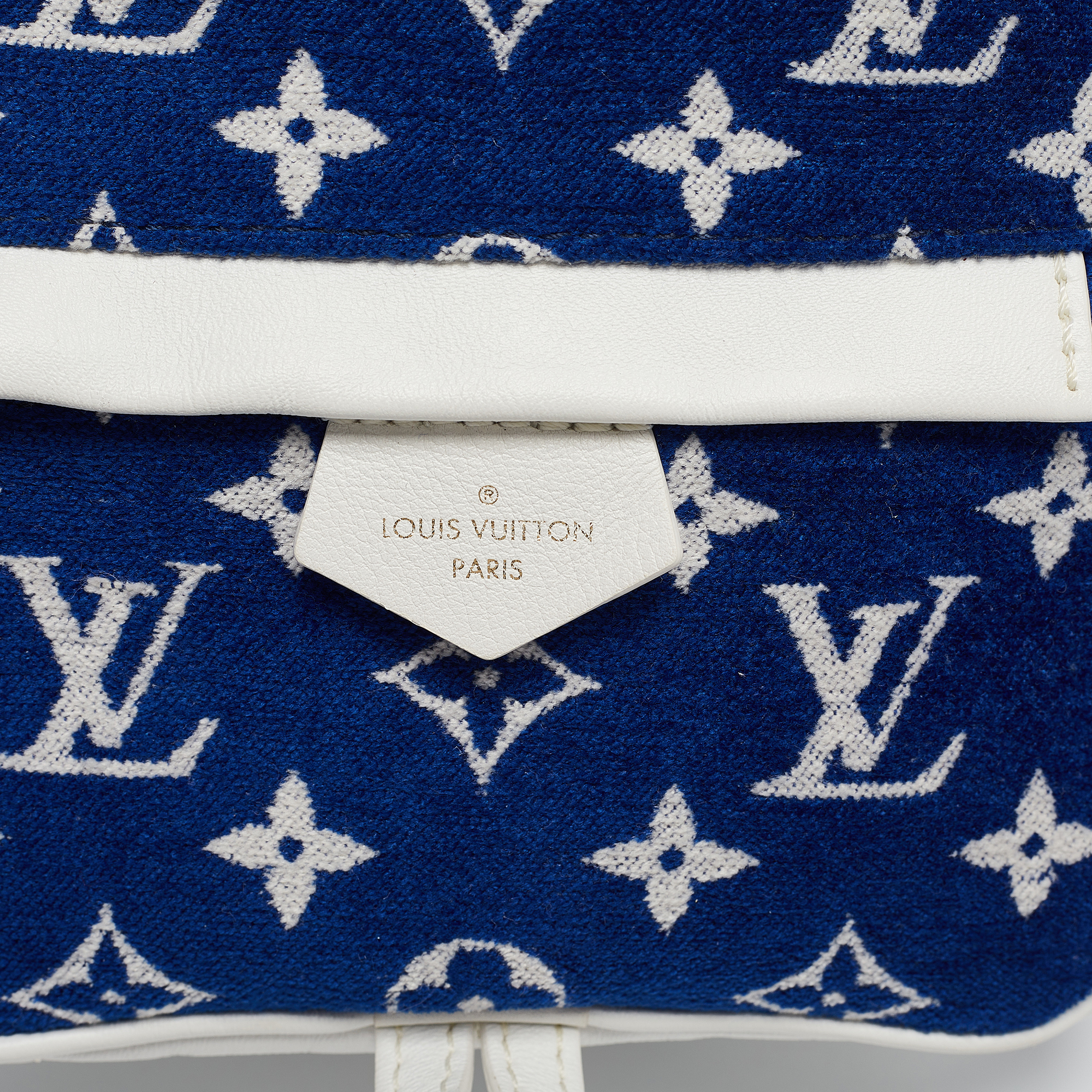 Louis Vuitton Blue/White Monogram Velvet And Leather Palm Springs Backpack