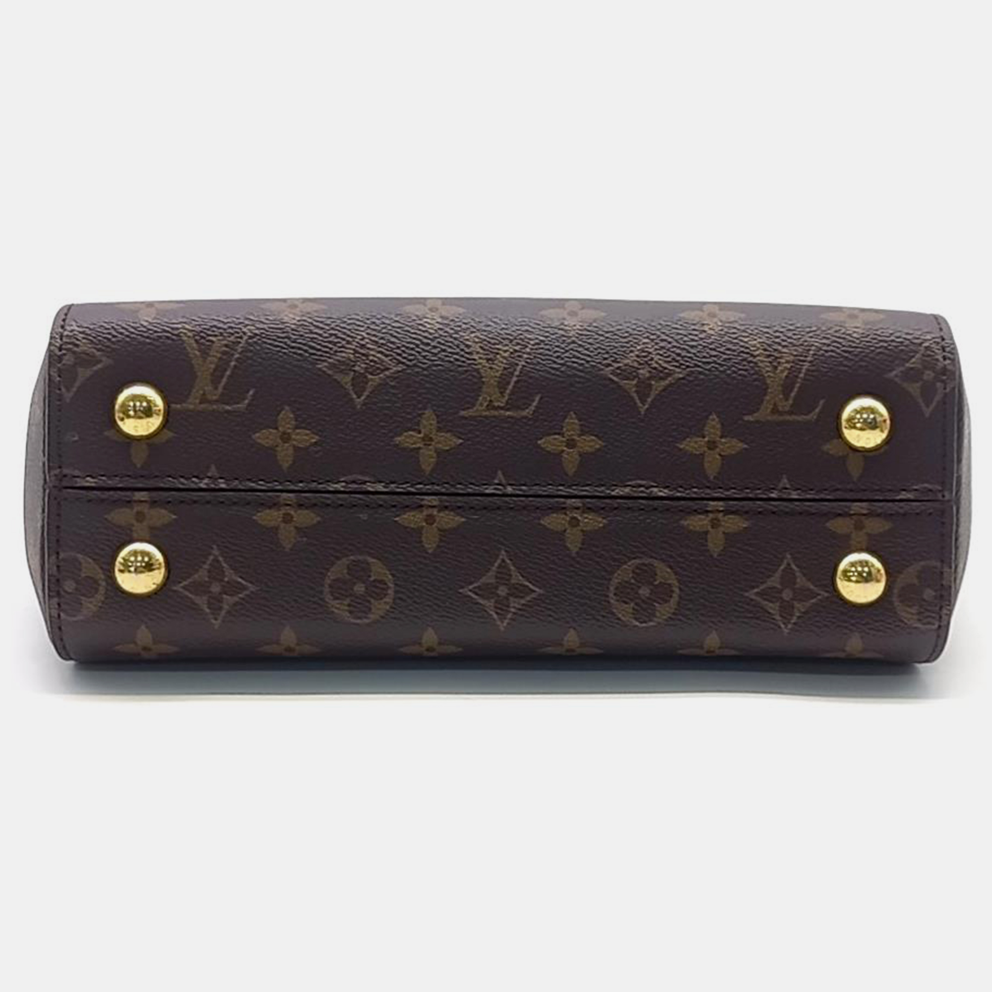 Louis Vuitton Monogram Cluny BB Bag