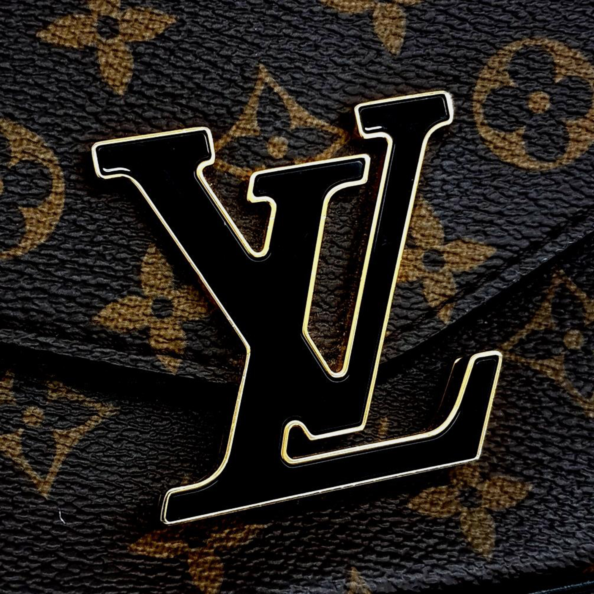 Louis Vuitton Monogram Fascia Bag