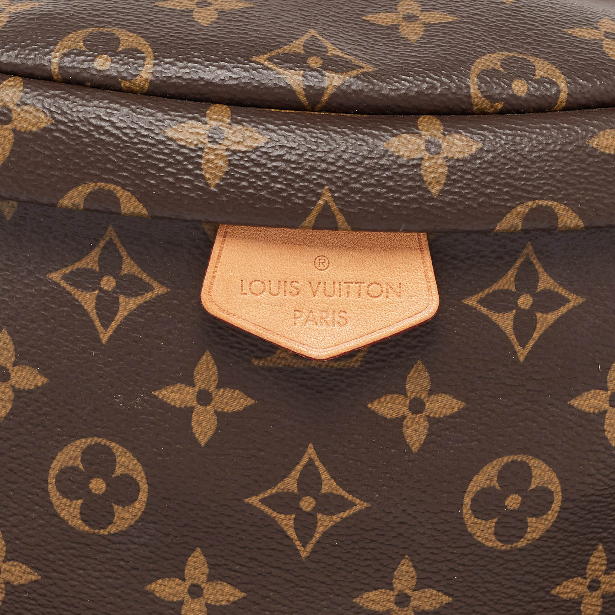 Louis Vuitton Monogram Canvas Fanny Pack Bumbag