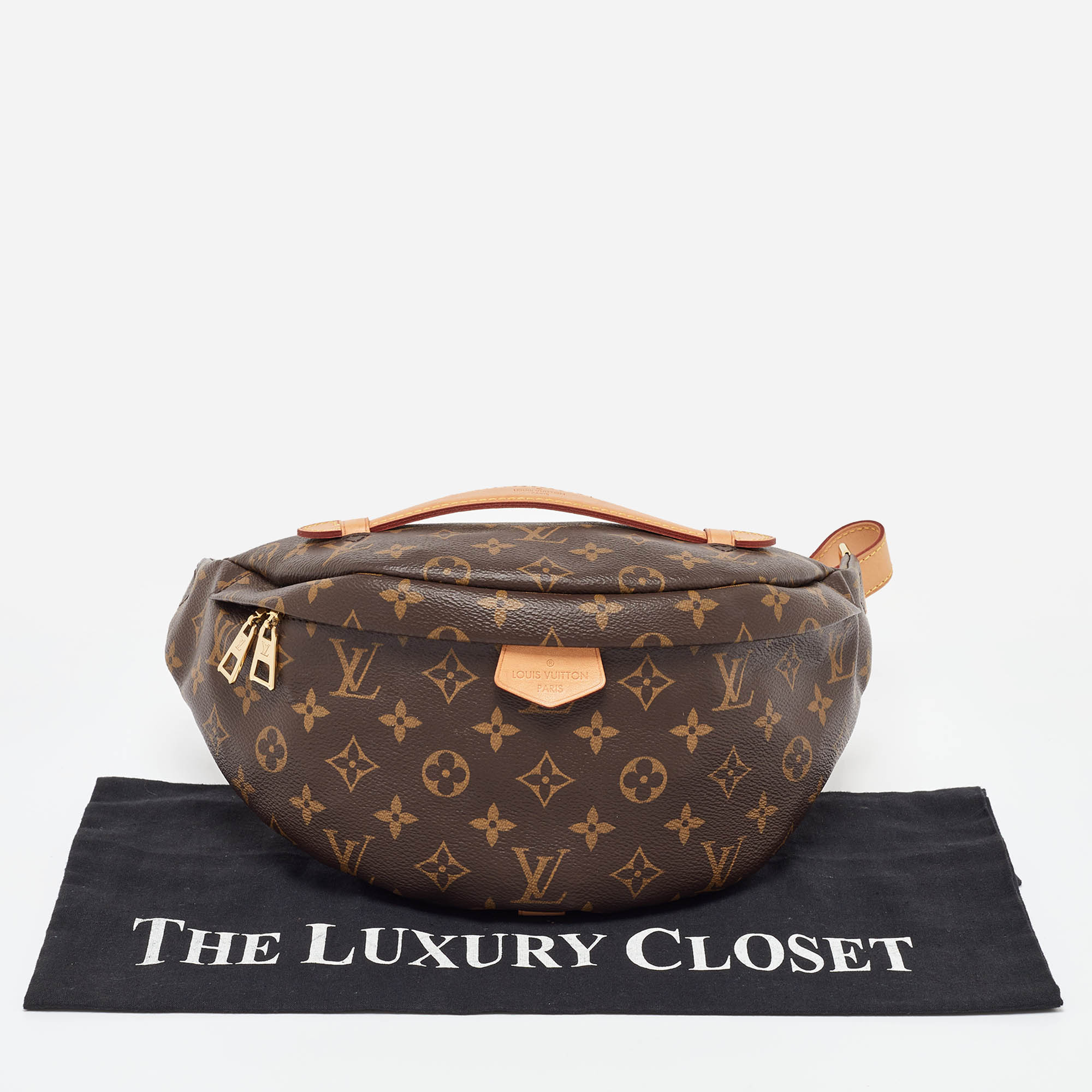 Louis Vuitton Monogram Canvas Fanny Pack Bumbag