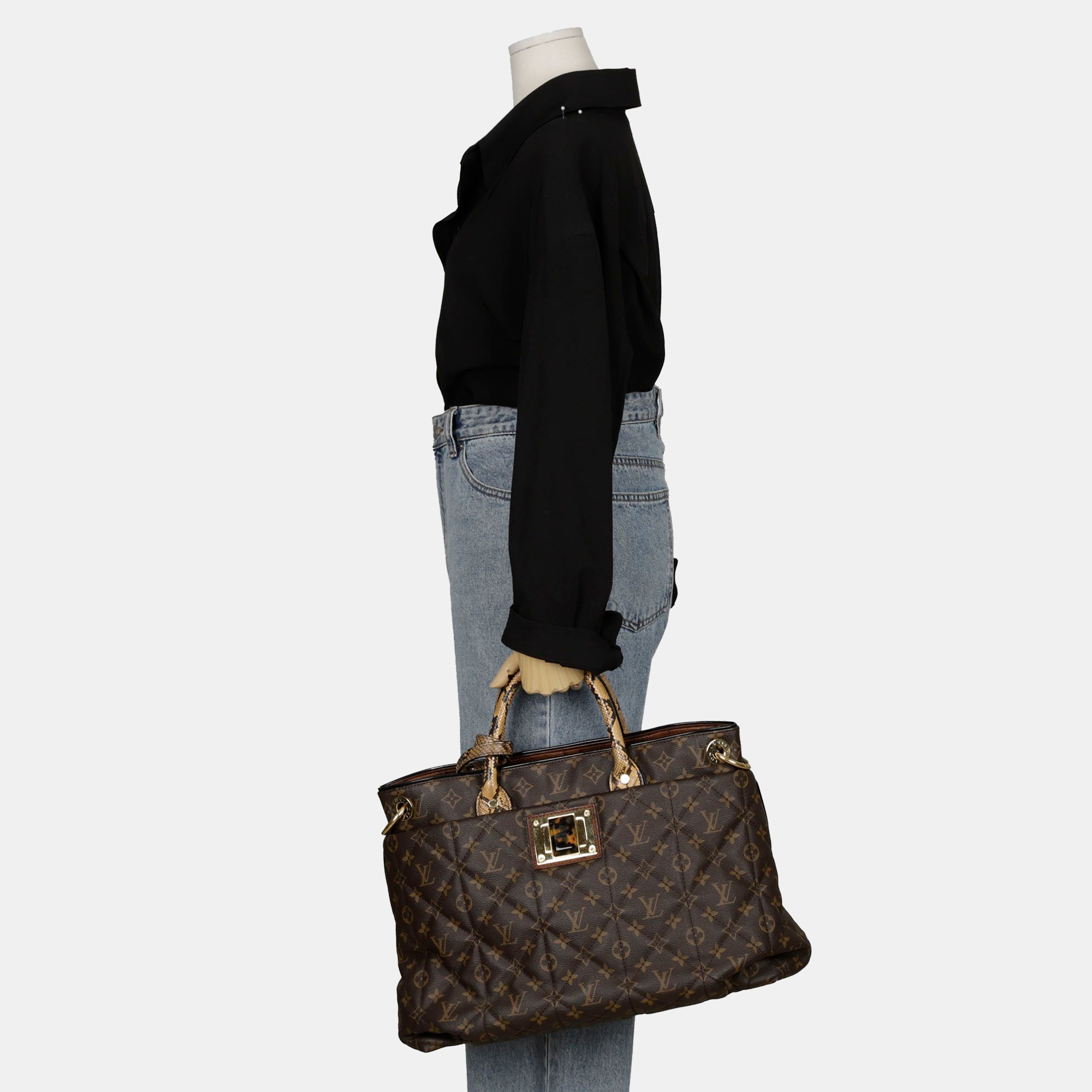 Louis Vuitton Monogram Canvas Limited Edition Etoile Exotique Tote GM Bag