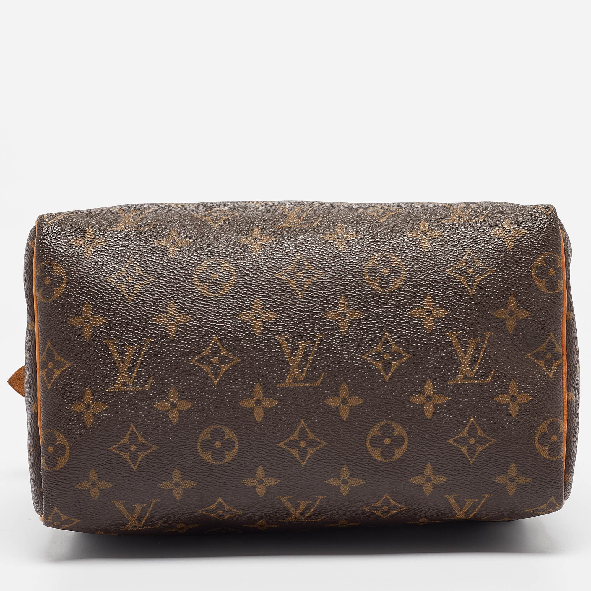 Louis Vuitton Monogram Canvas And Leather Speedy 25 Bag