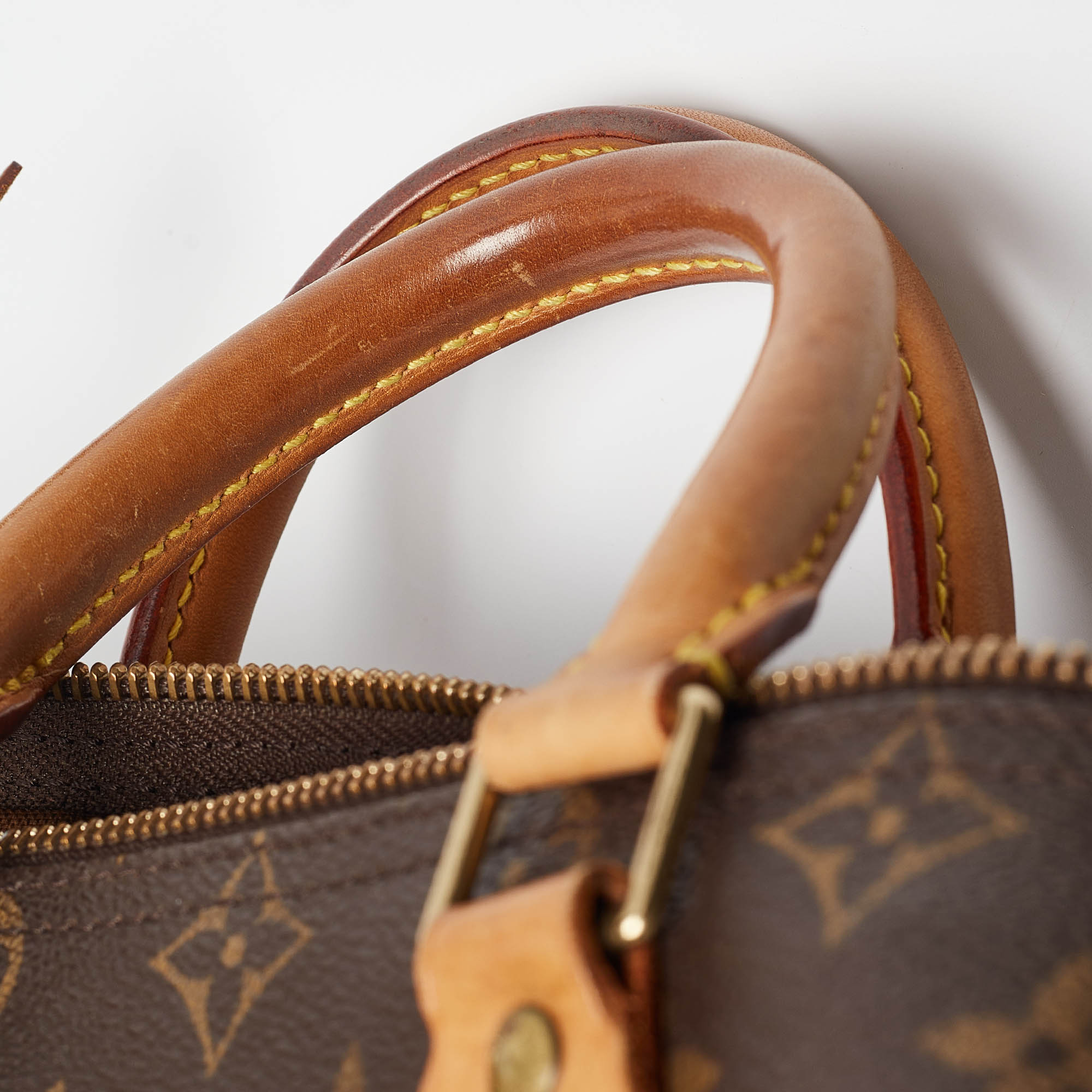 Louis Vuitton Monogram Canvas And Leather Speedy 25 Bag