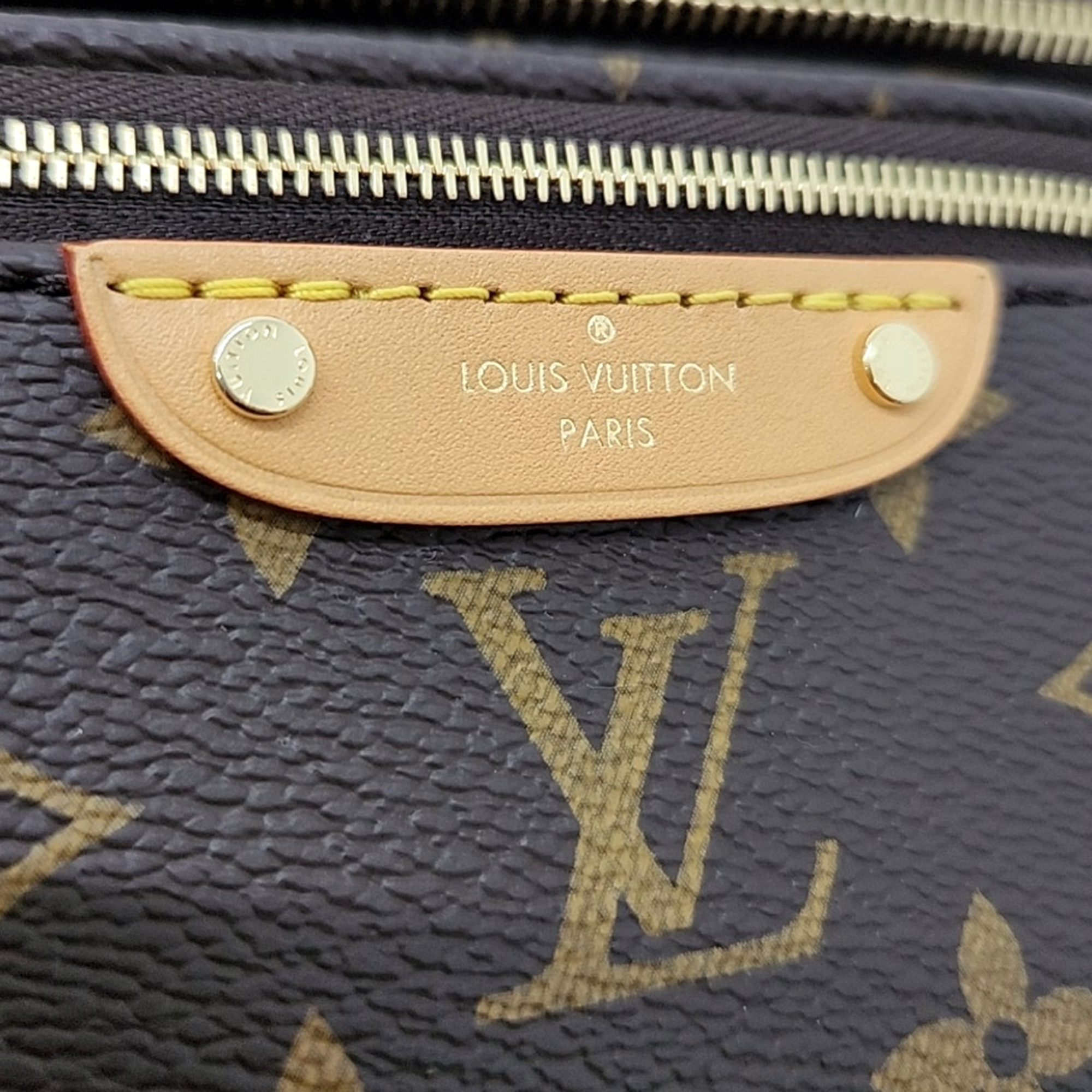 Louis Vuitton Monogram Mini Bum Bag