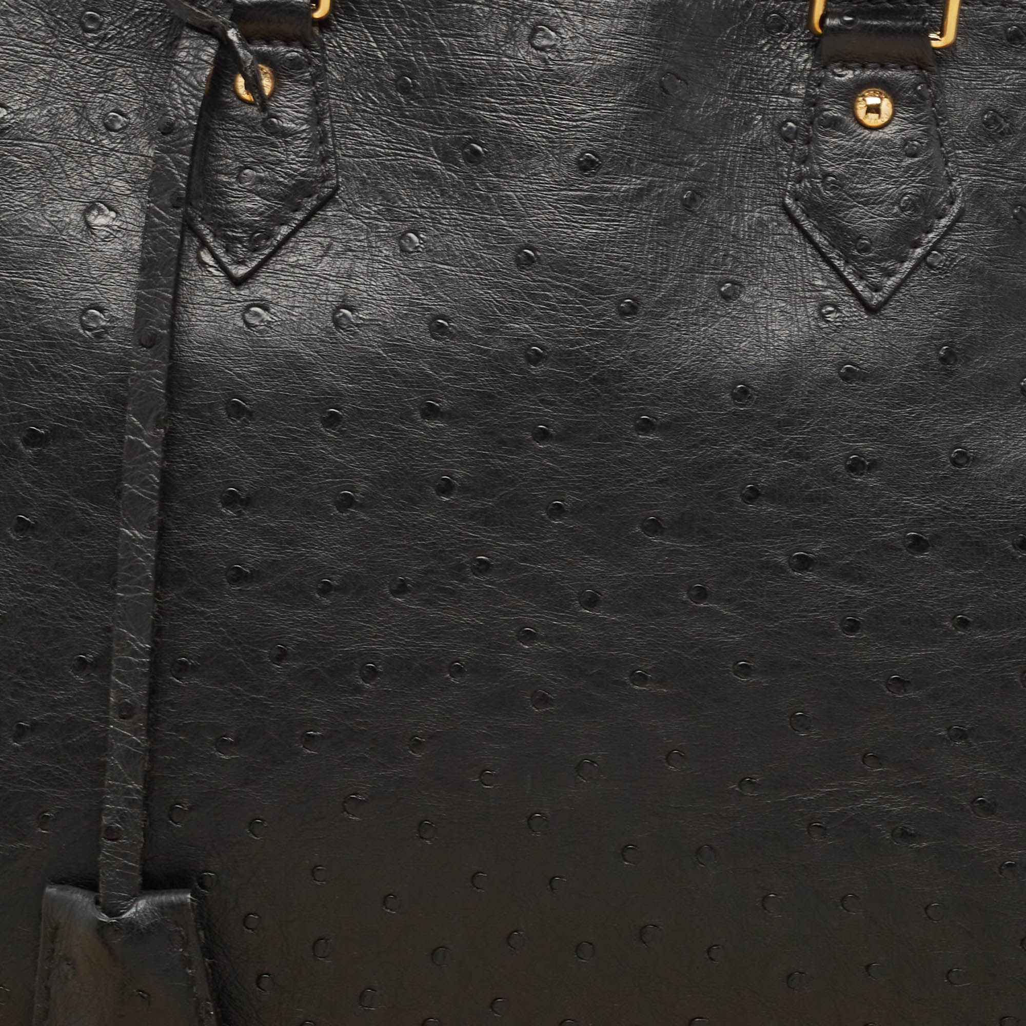 Louis Vuitton Black Ostrich Alma GM Bag