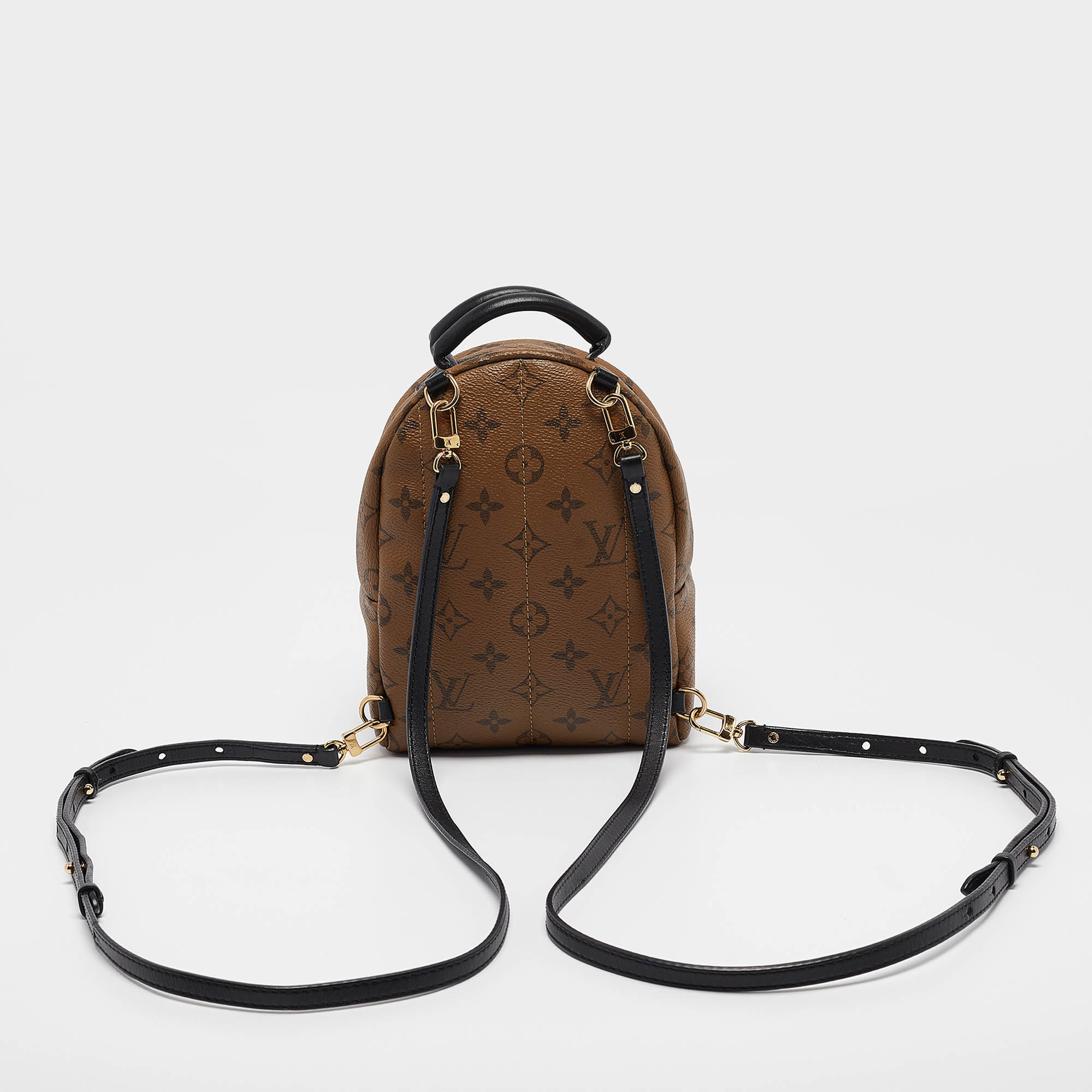 Louis Vuitton Monogram Reverse Canvas Mini Palm Springs Backpack