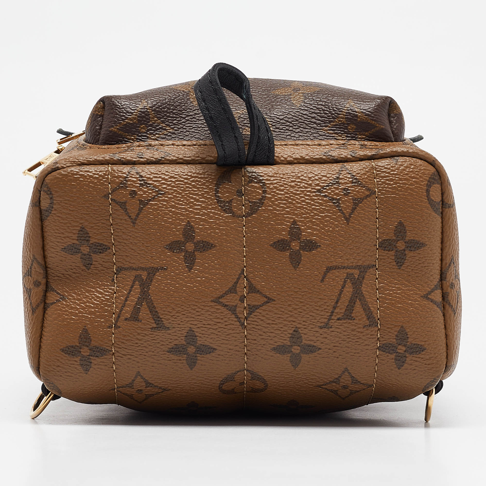 Louis Vuitton Monogram Reverse Canvas Mini Palm Springs Backpack