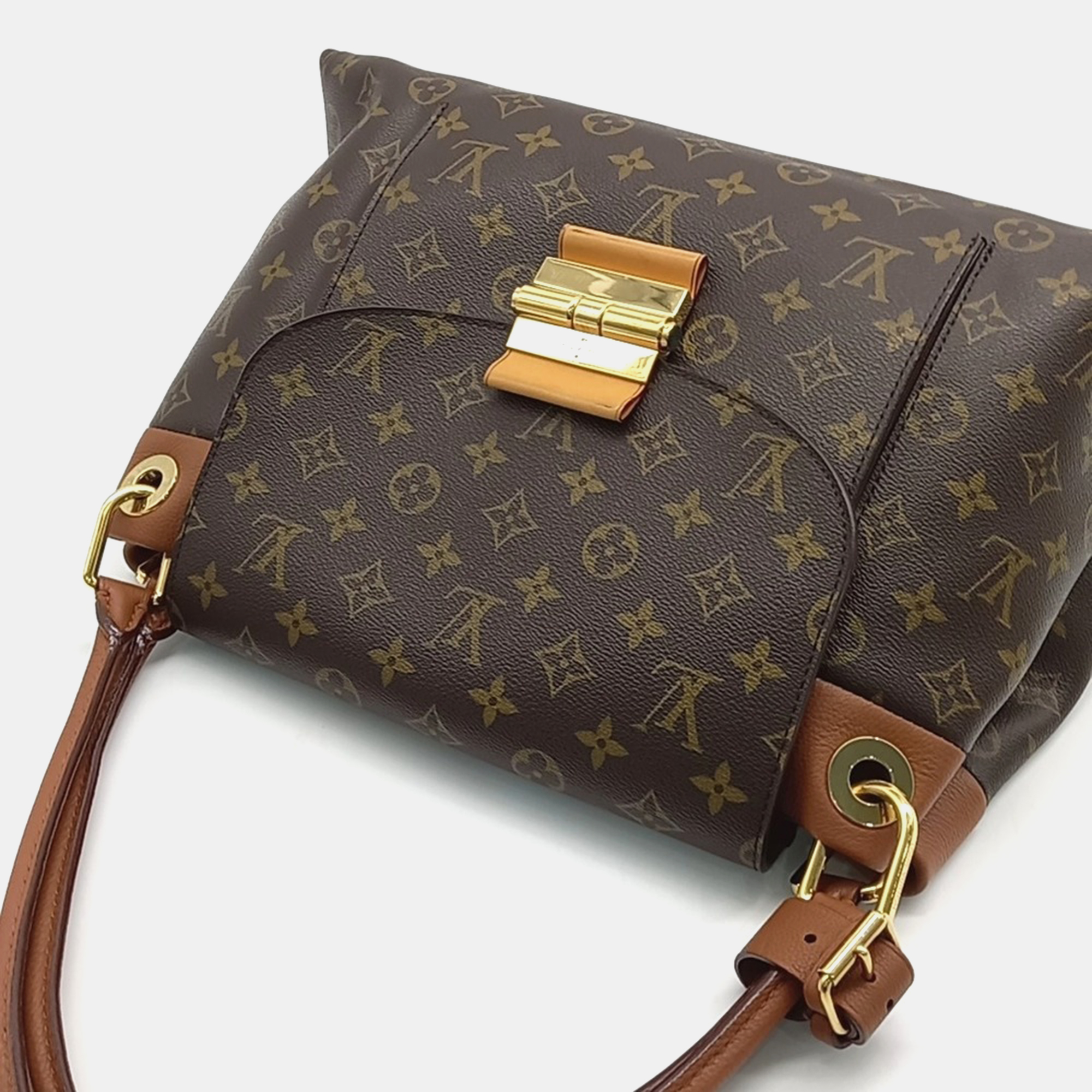 Louis Vuitton Olympe Bag