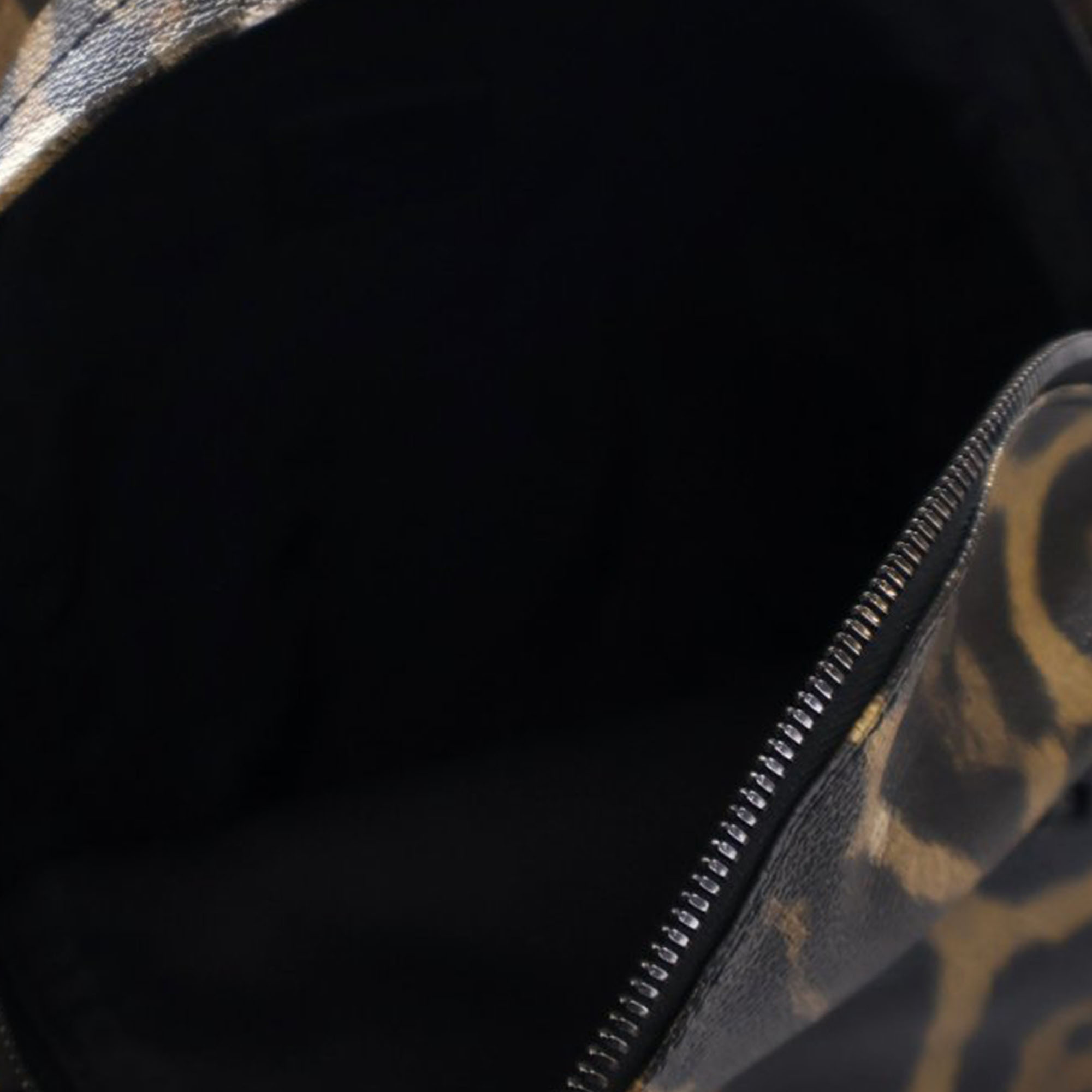 Louis Vuitton Animal Print Palm Springs PM Backpack Bag