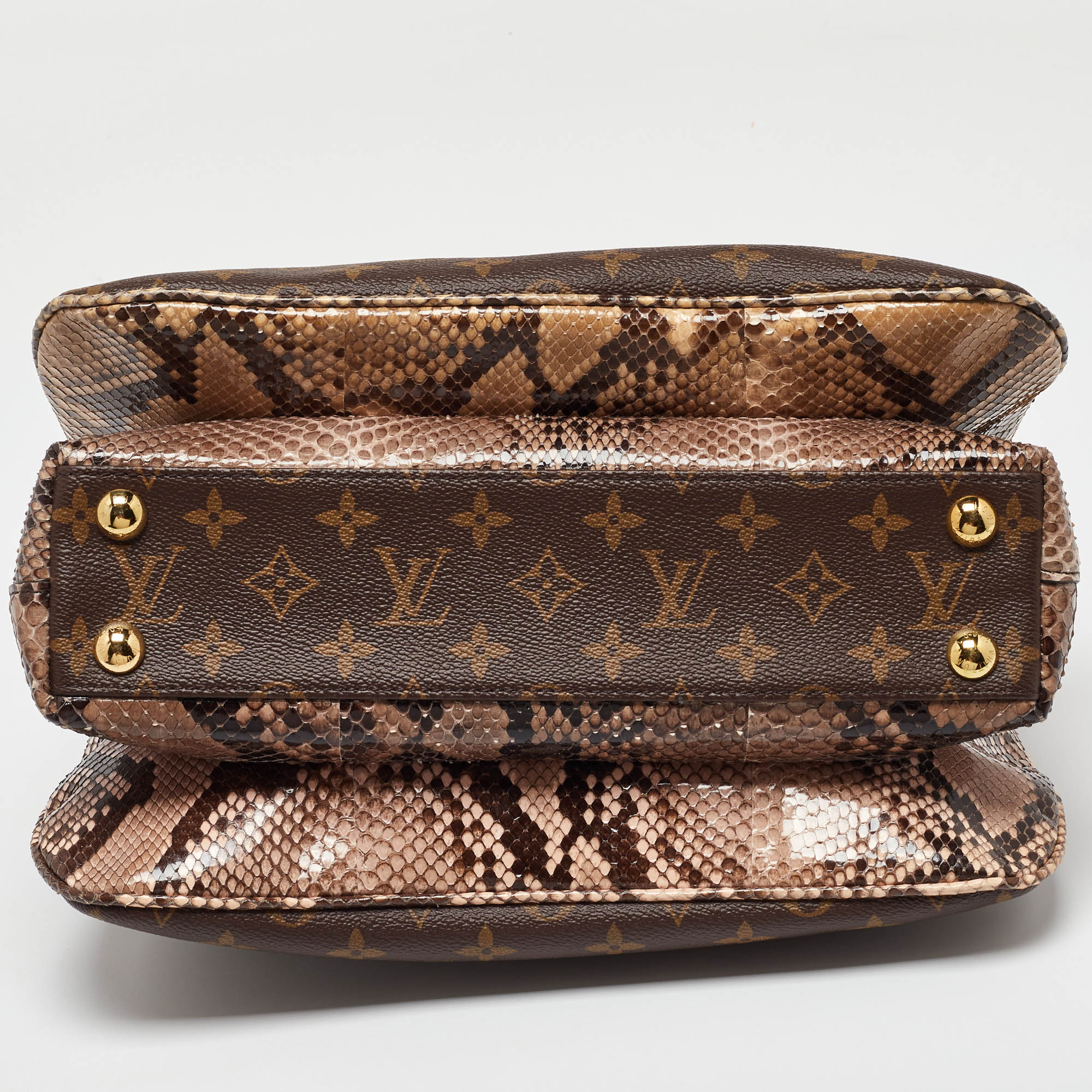 Louis Vuitton Monogram Canvas Python Millefeuille Bag