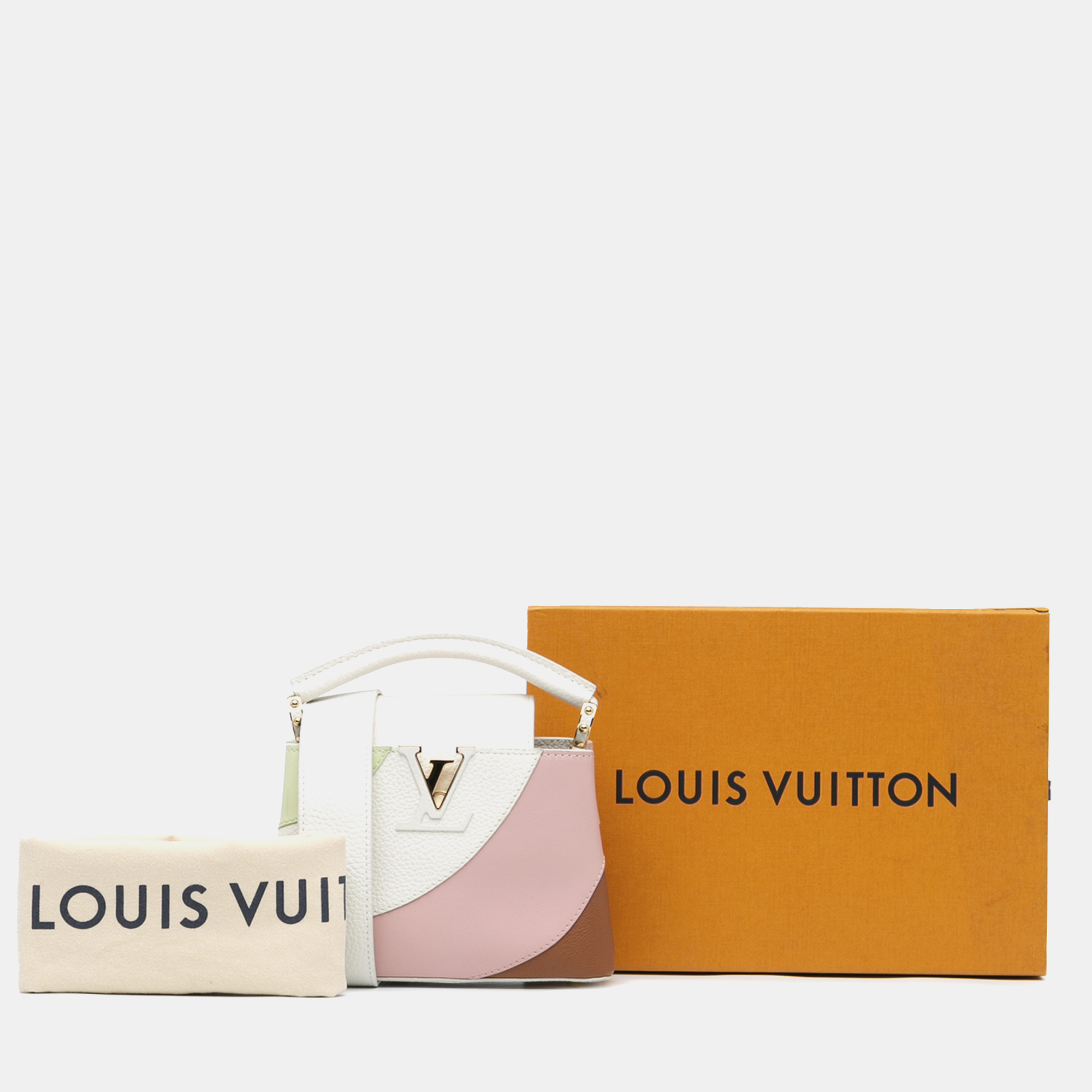 Louis Vuitton Multicolor Leather Taurillon Gelato Mini Capucines Bag