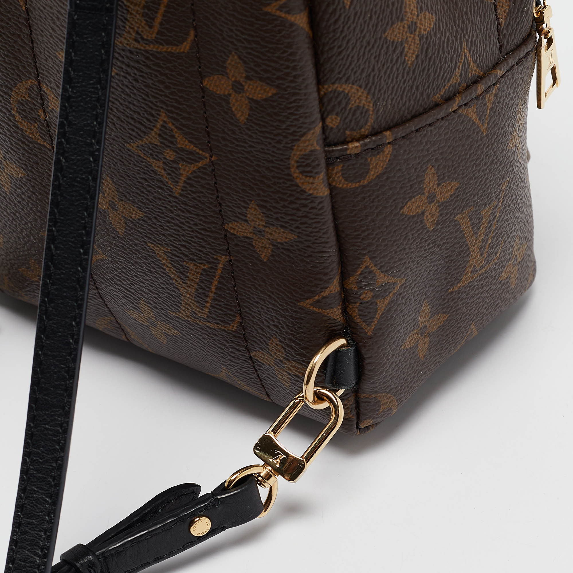 Louis Vuitton Monogram Canvas Mini Palm Springs Backpack