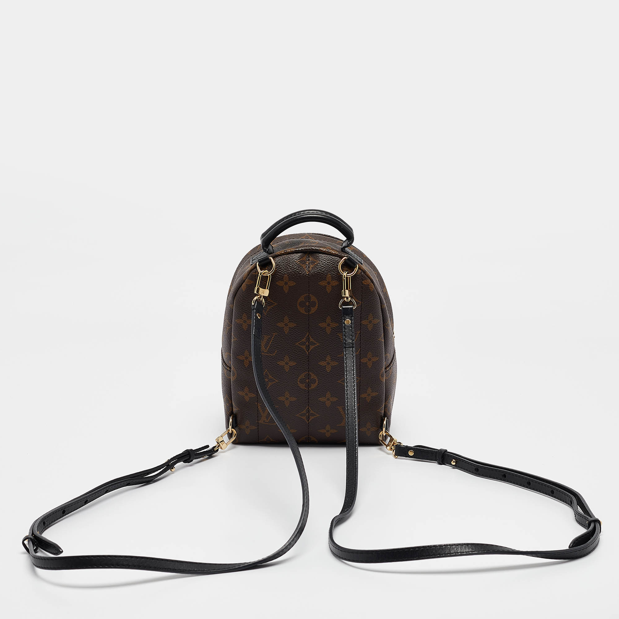 Louis Vuitton Monogram Canvas Mini Palm Springs Backpack