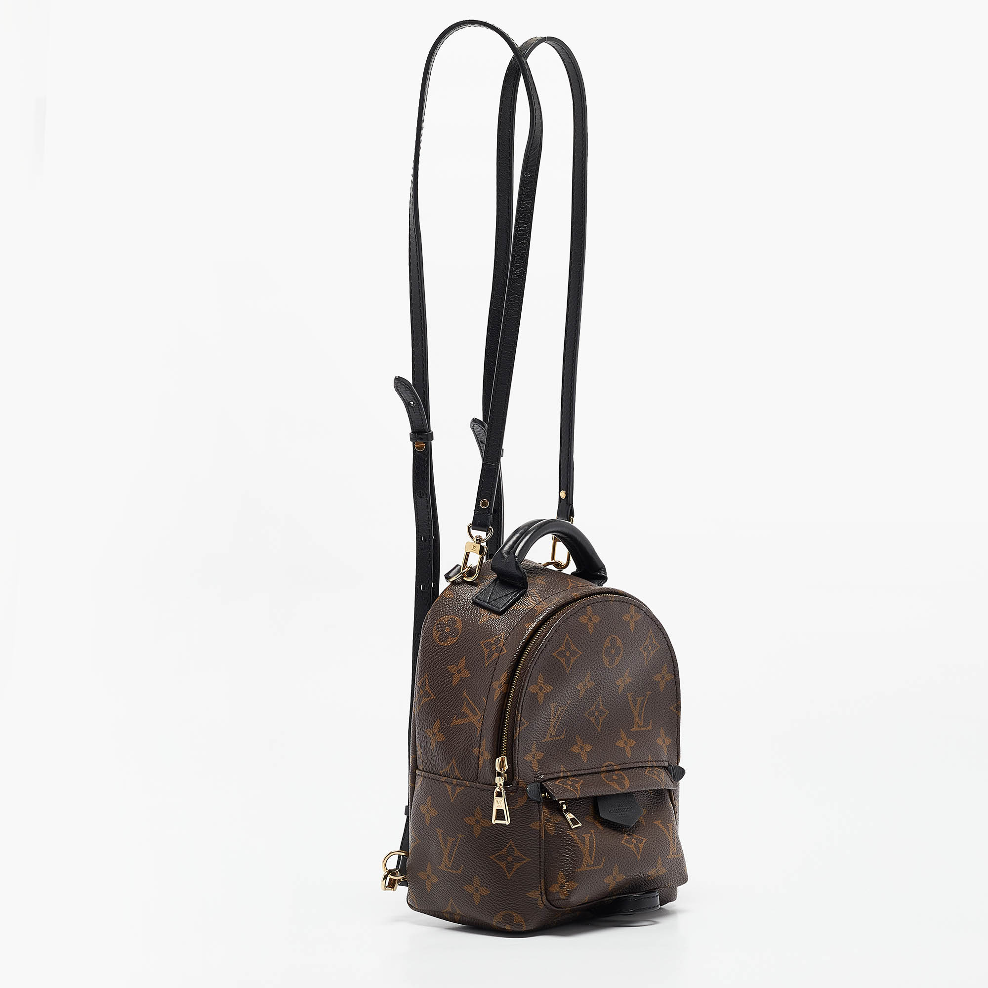 Louis Vuitton Monogram Canvas Mini Palm Springs Backpack