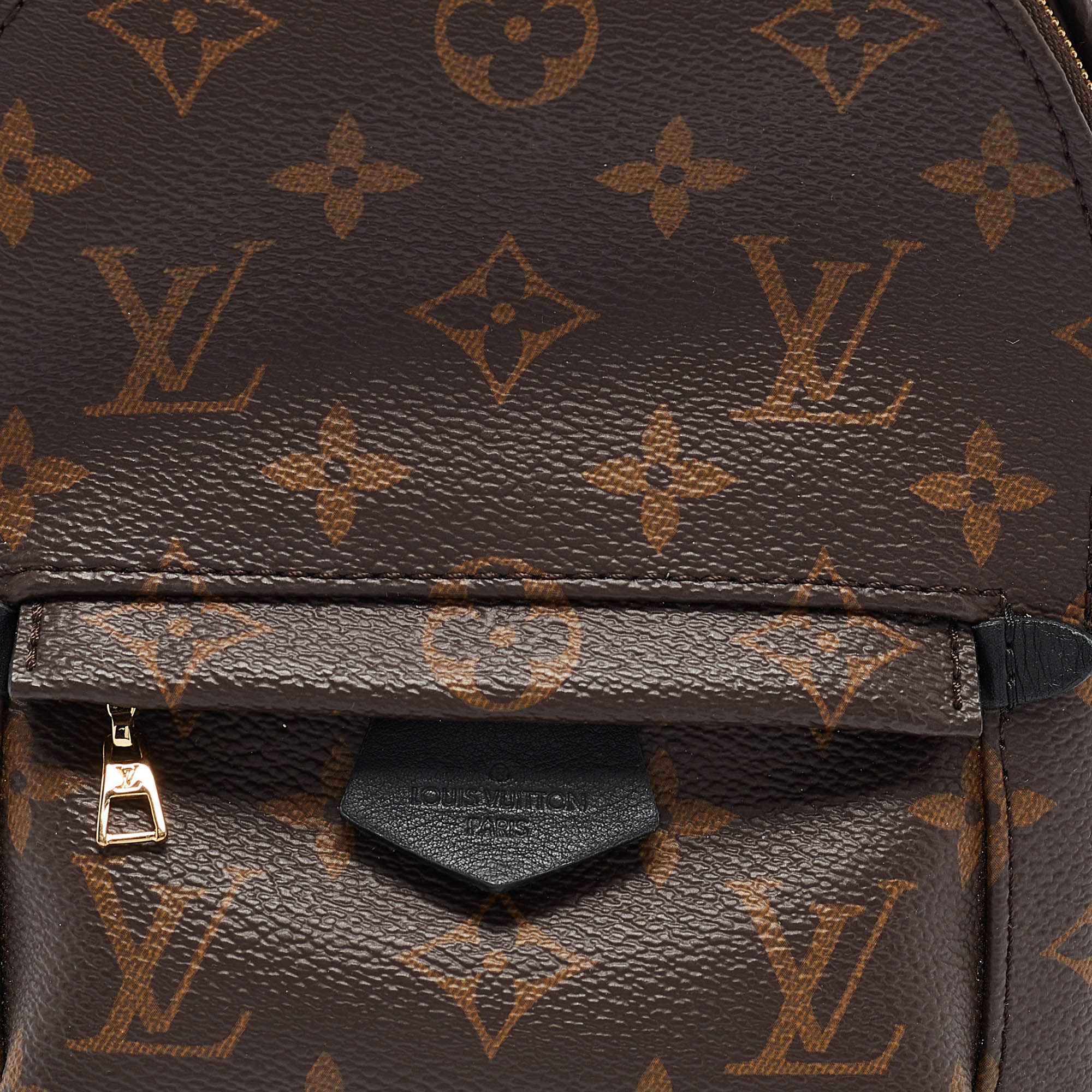 Louis Vuitton Monogram Canvas Mini Palm Springs Backpack