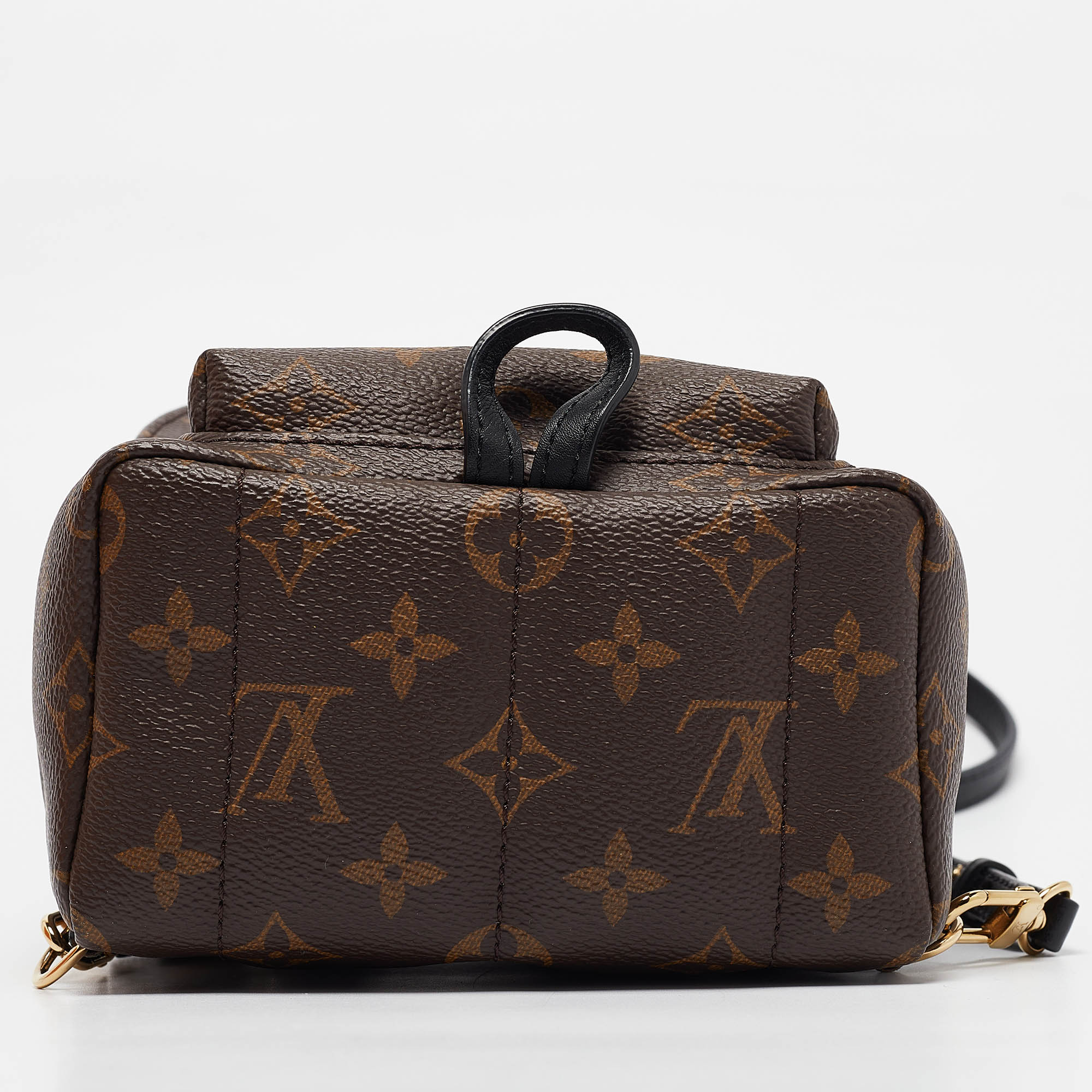 Louis Vuitton Monogram Canvas Mini Palm Springs Backpack