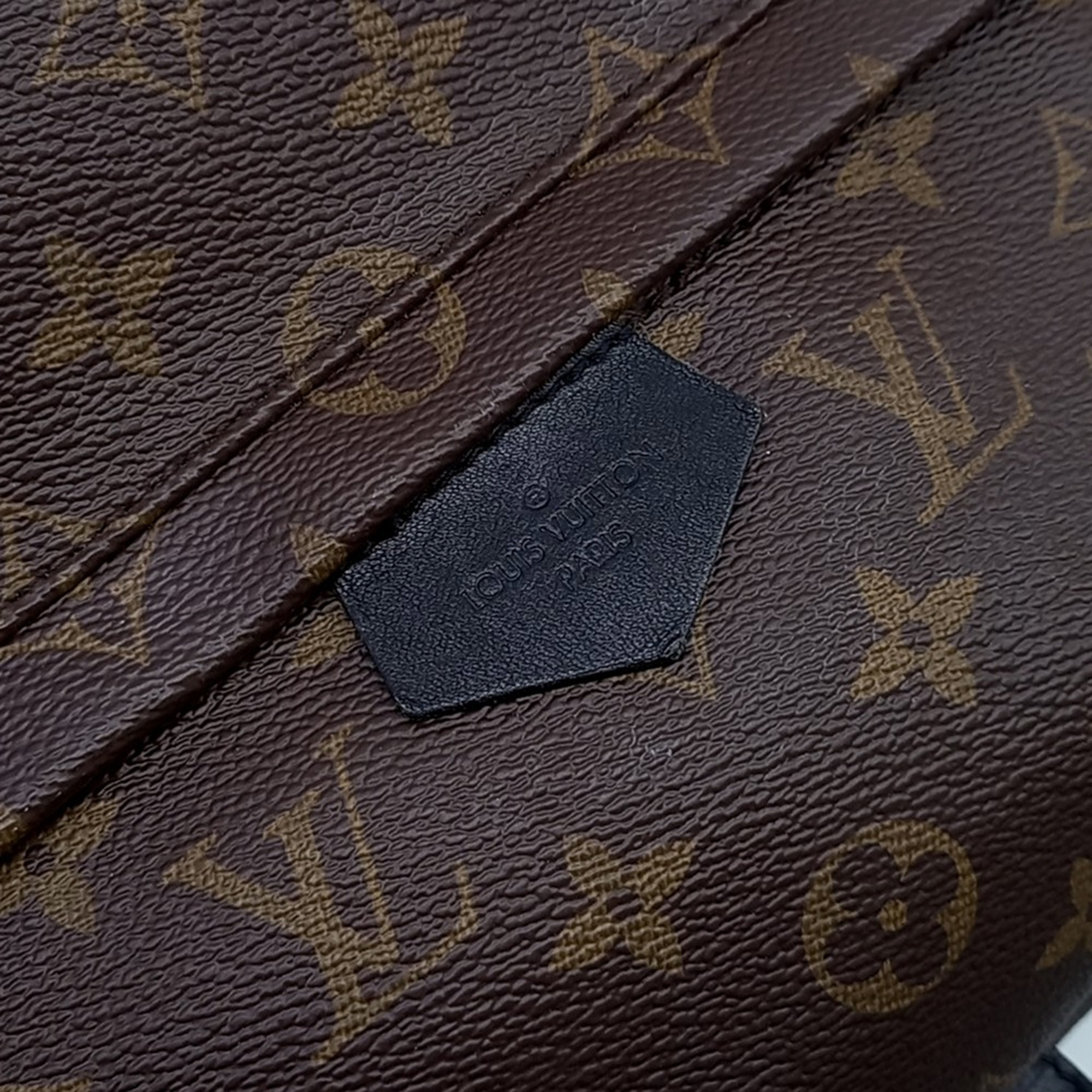 Louis Vuitton Monogram Palm Springs Backpack MM