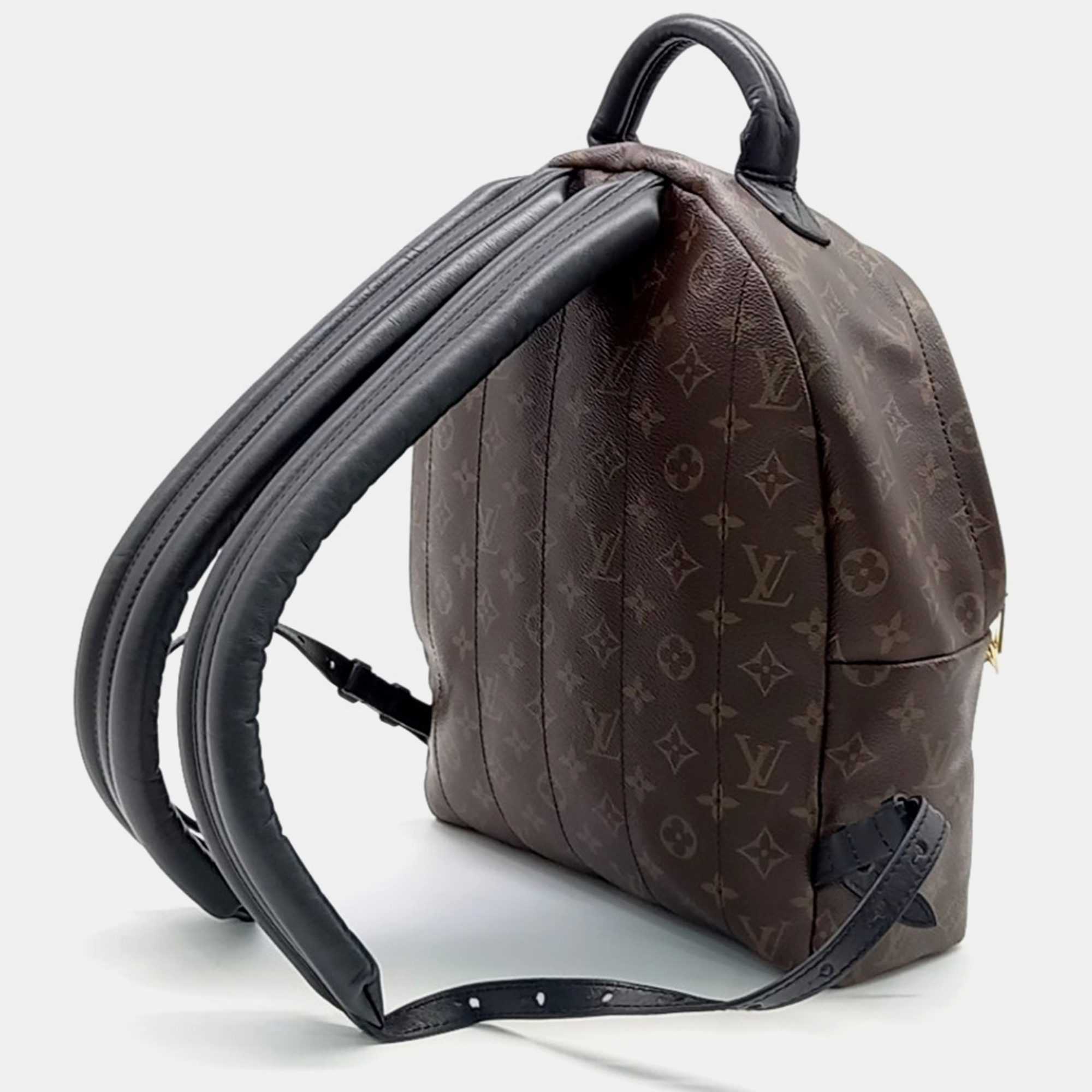 Louis Vuitton Monogram Palm Springs Backpack MM