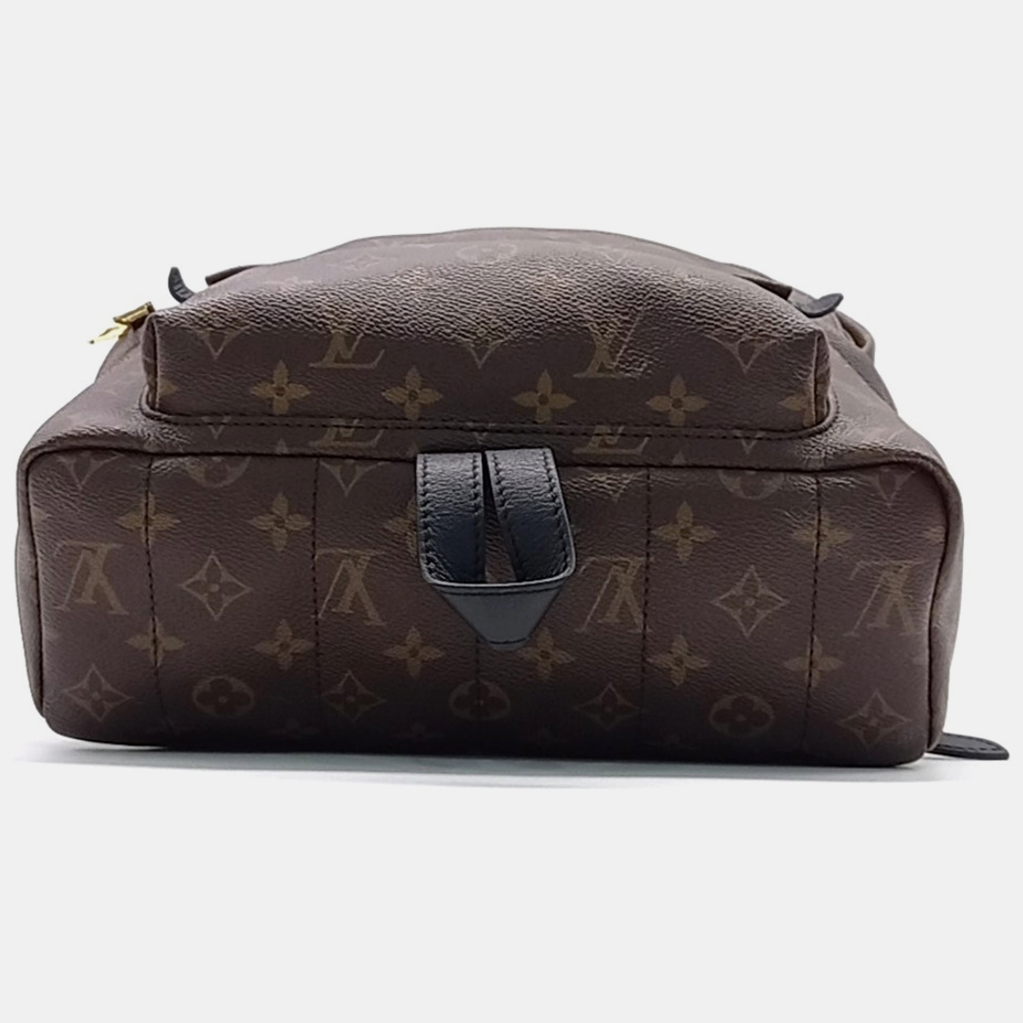 Louis Vuitton Monogram Palm Springs Backpack MM