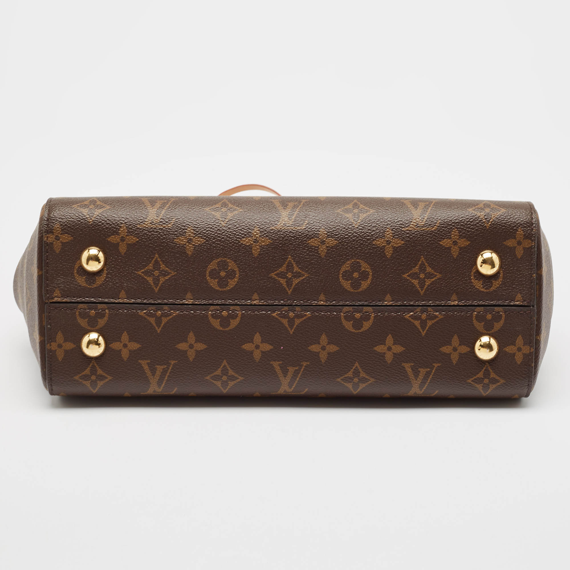 Louis Vuitton Monogram Canvas Cluny MM Bag