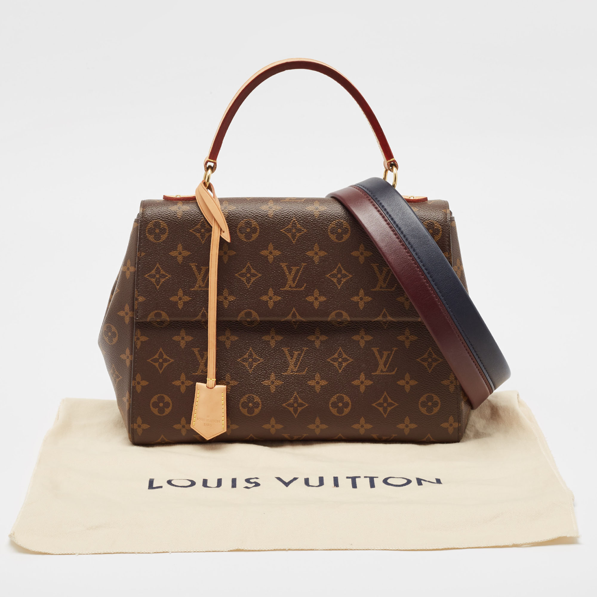 Louis Vuitton Monogram Canvas Cluny MM Bag