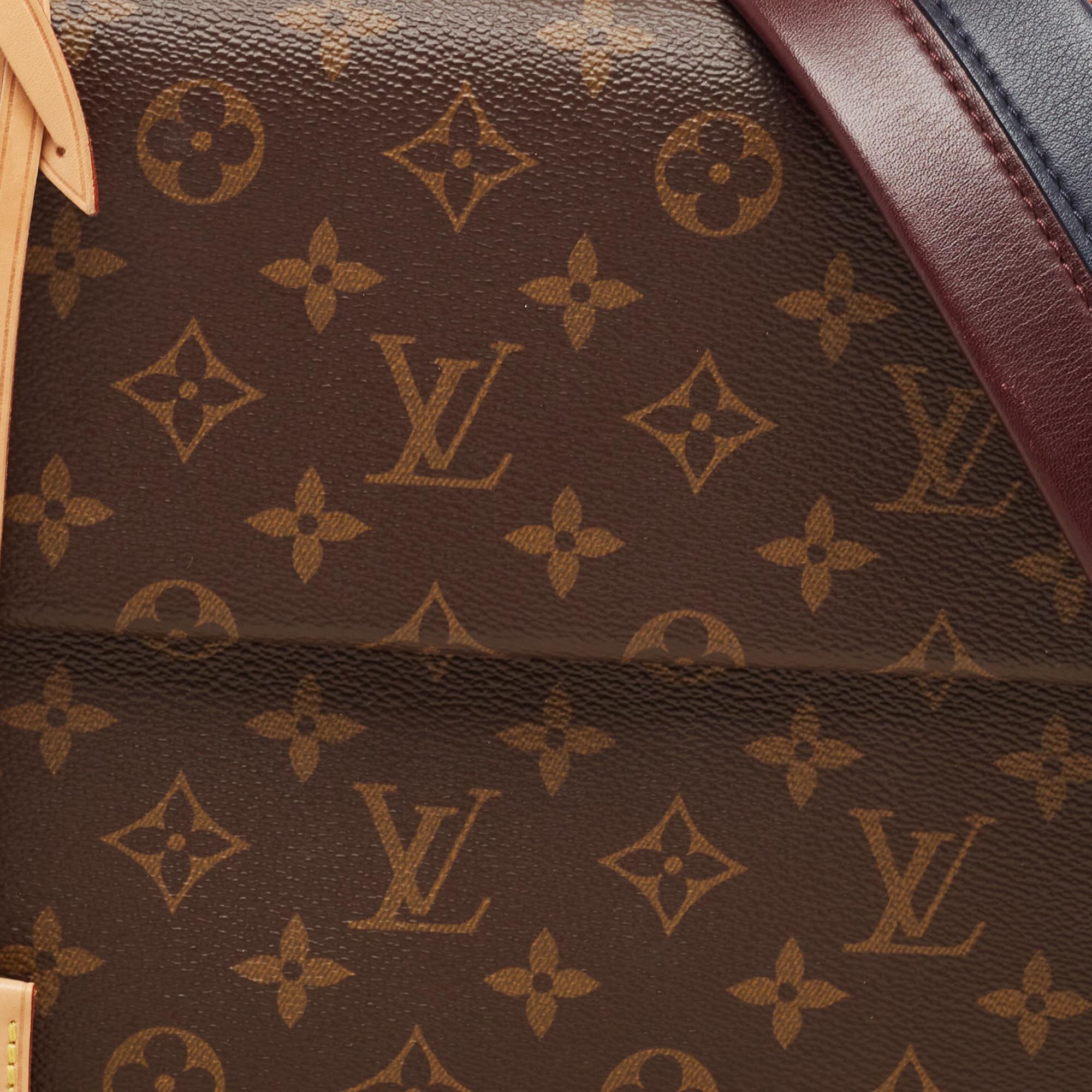 Louis Vuitton Monogram Canvas Cluny MM Bag