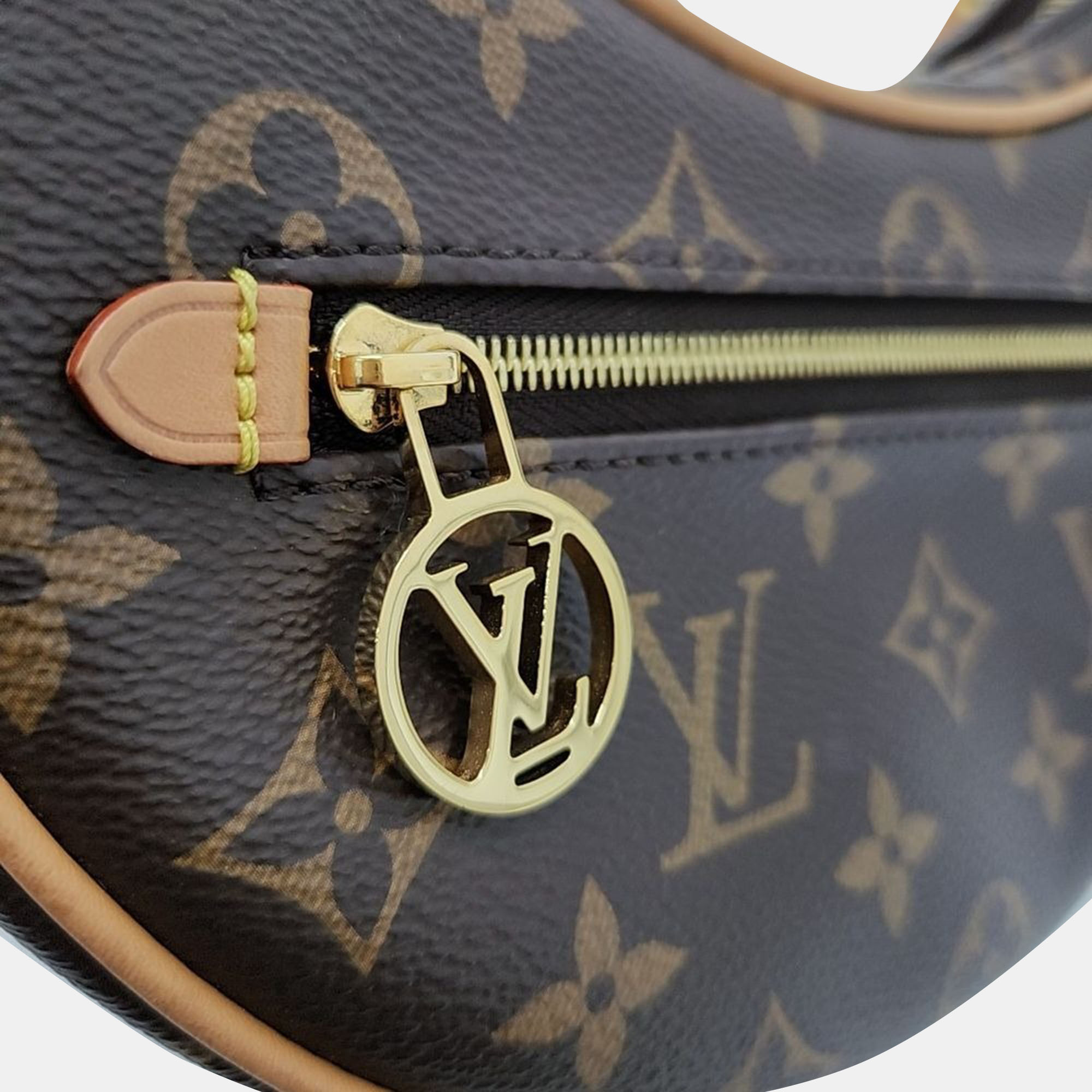 Louis Vuitton Loopback Bag