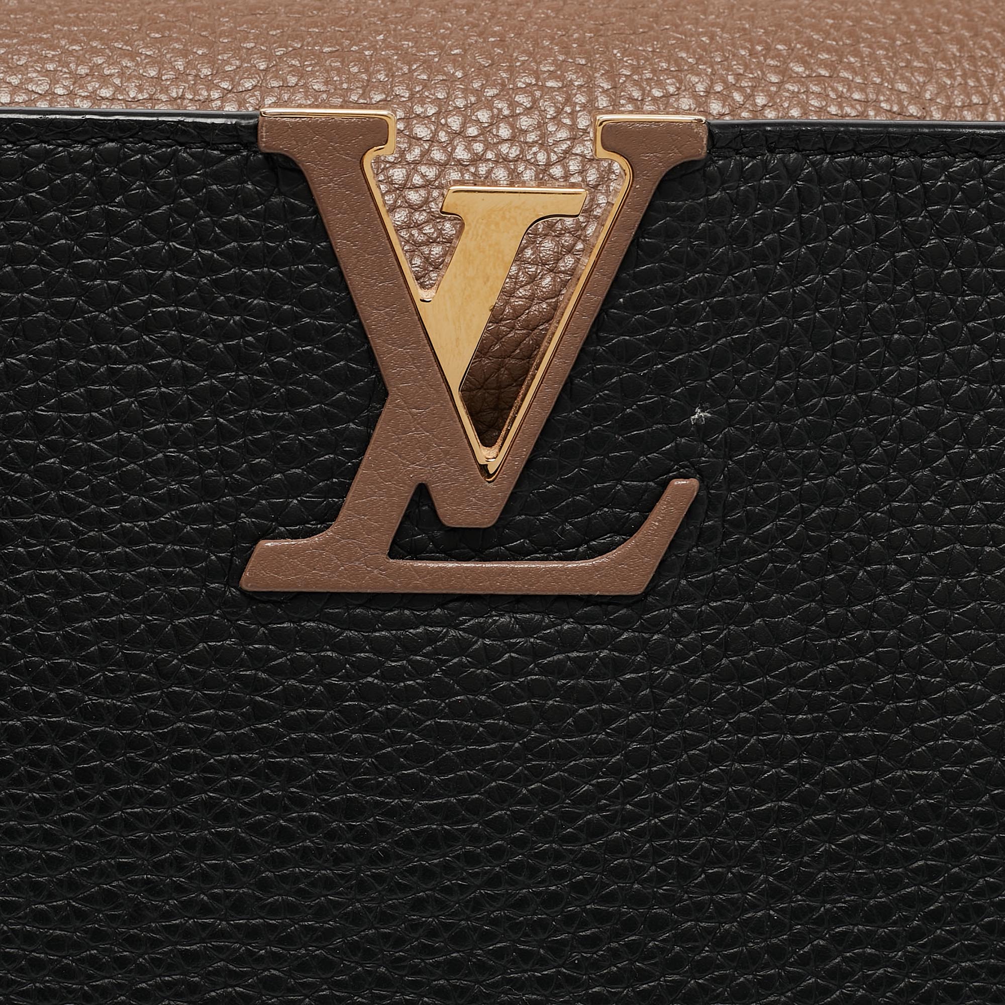 Louis Vuitton Multicolor Taurillon Leather Capucines PM Bag