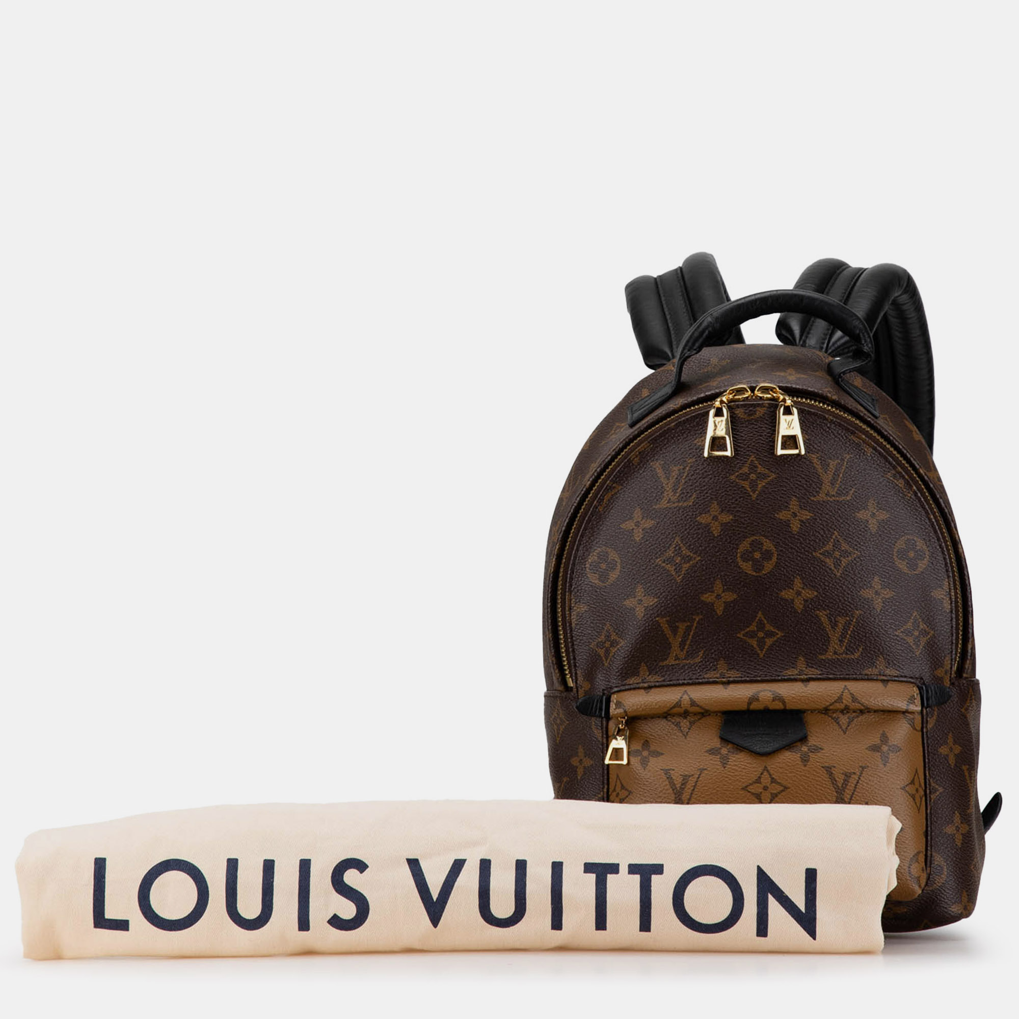 Louis Vuitton Monogram Reverse Palm Springs PM