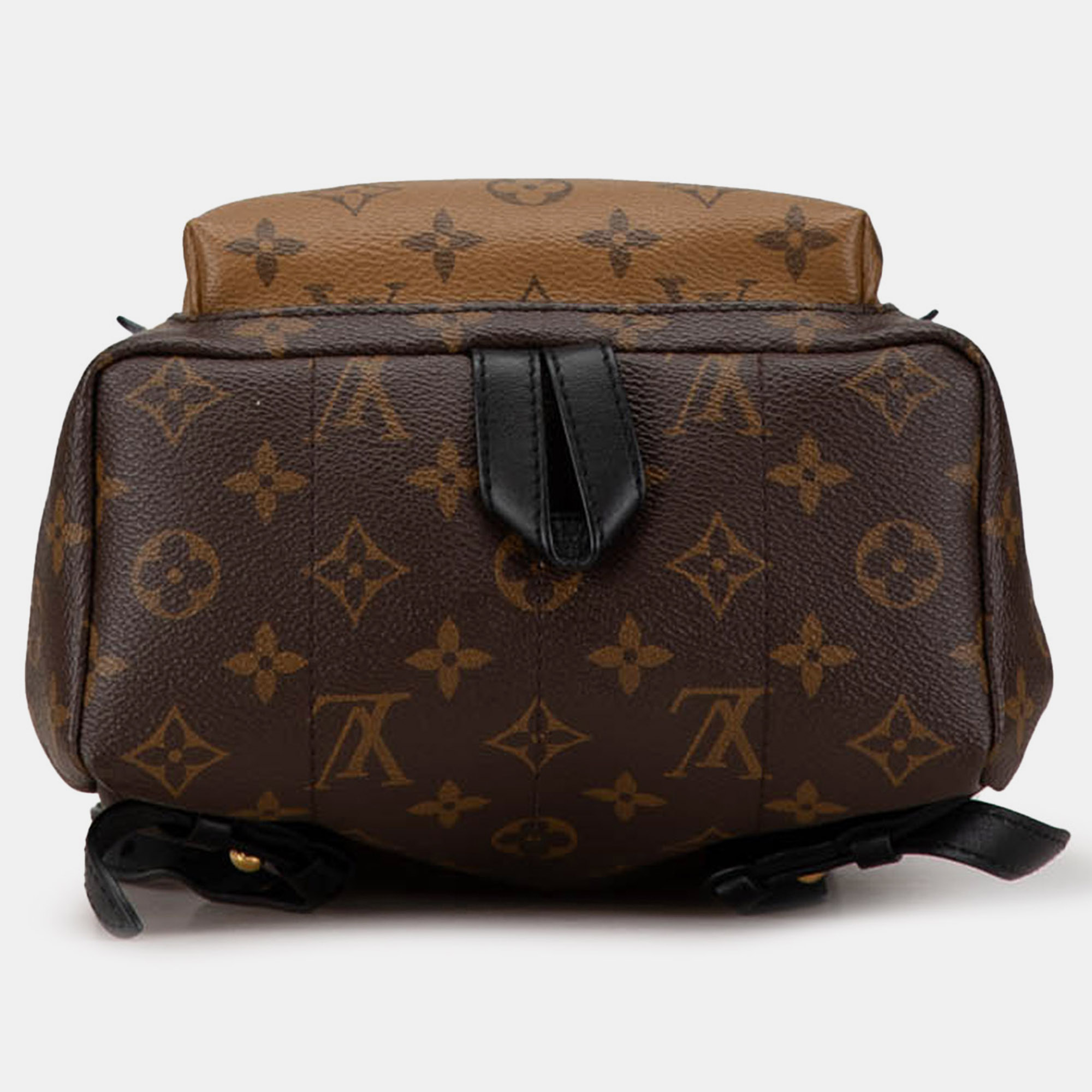 Louis Vuitton Monogram Reverse Palm Springs PM