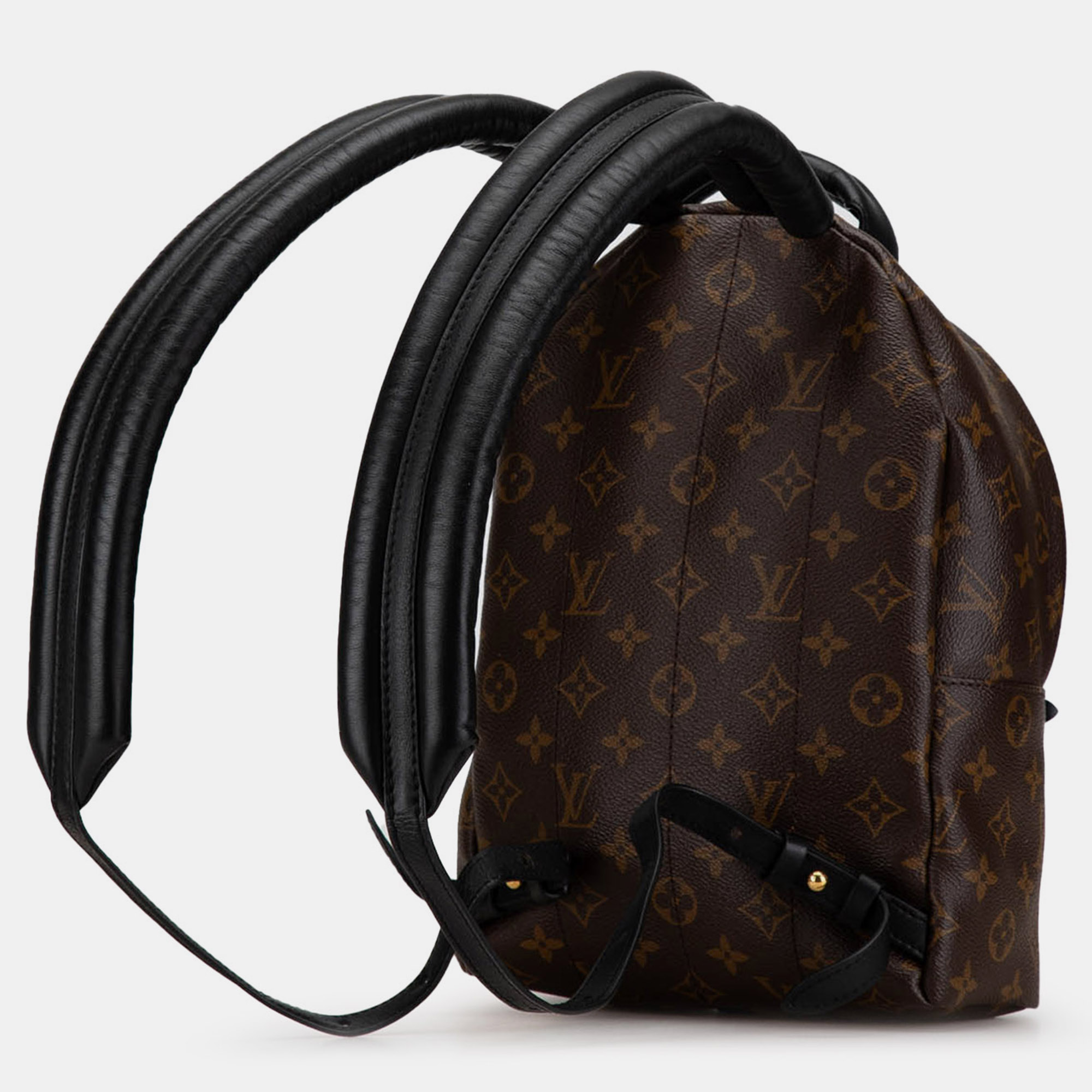 Louis Vuitton Monogram Reverse Palm Springs PM