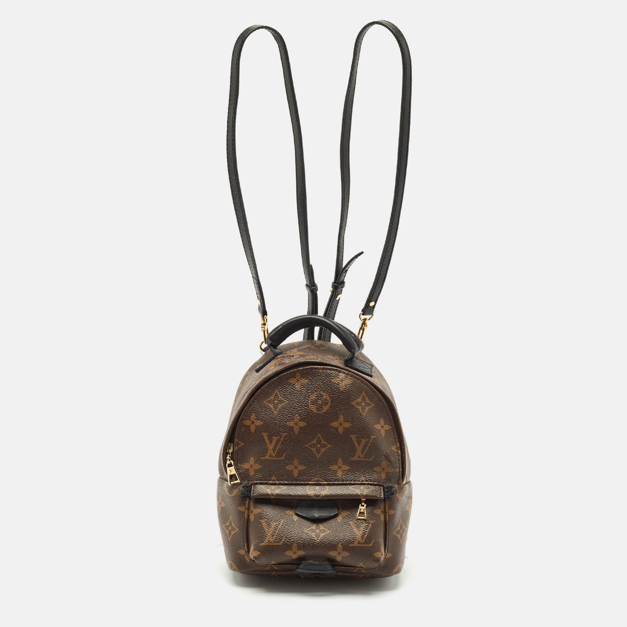Louis Vuitton Monogram Canvas Mini Palm Springs Backpack, Brown
Louis Vuitton Monogram Canvas Mini Palm Springs Backpack, Brown