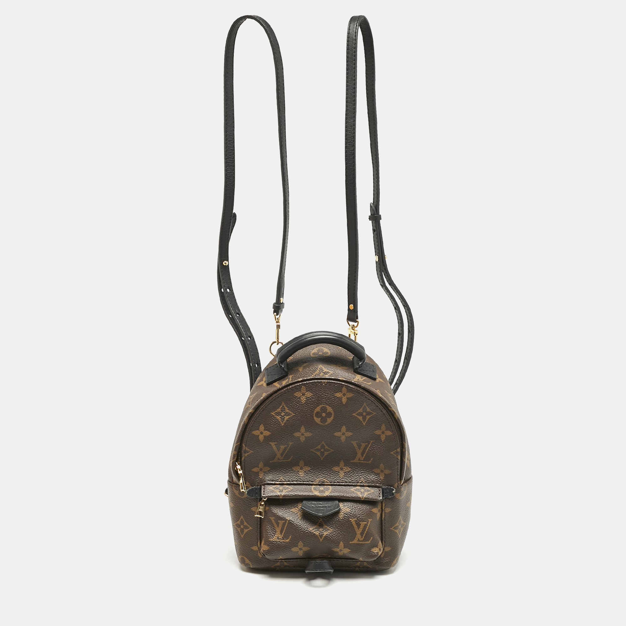 Louis Vuitton Monogram Canvas Mini Palm Springs Backpack, Brown
Louis Vuitton Monogram Canvas Mini Palm Springs Backpack, Brown