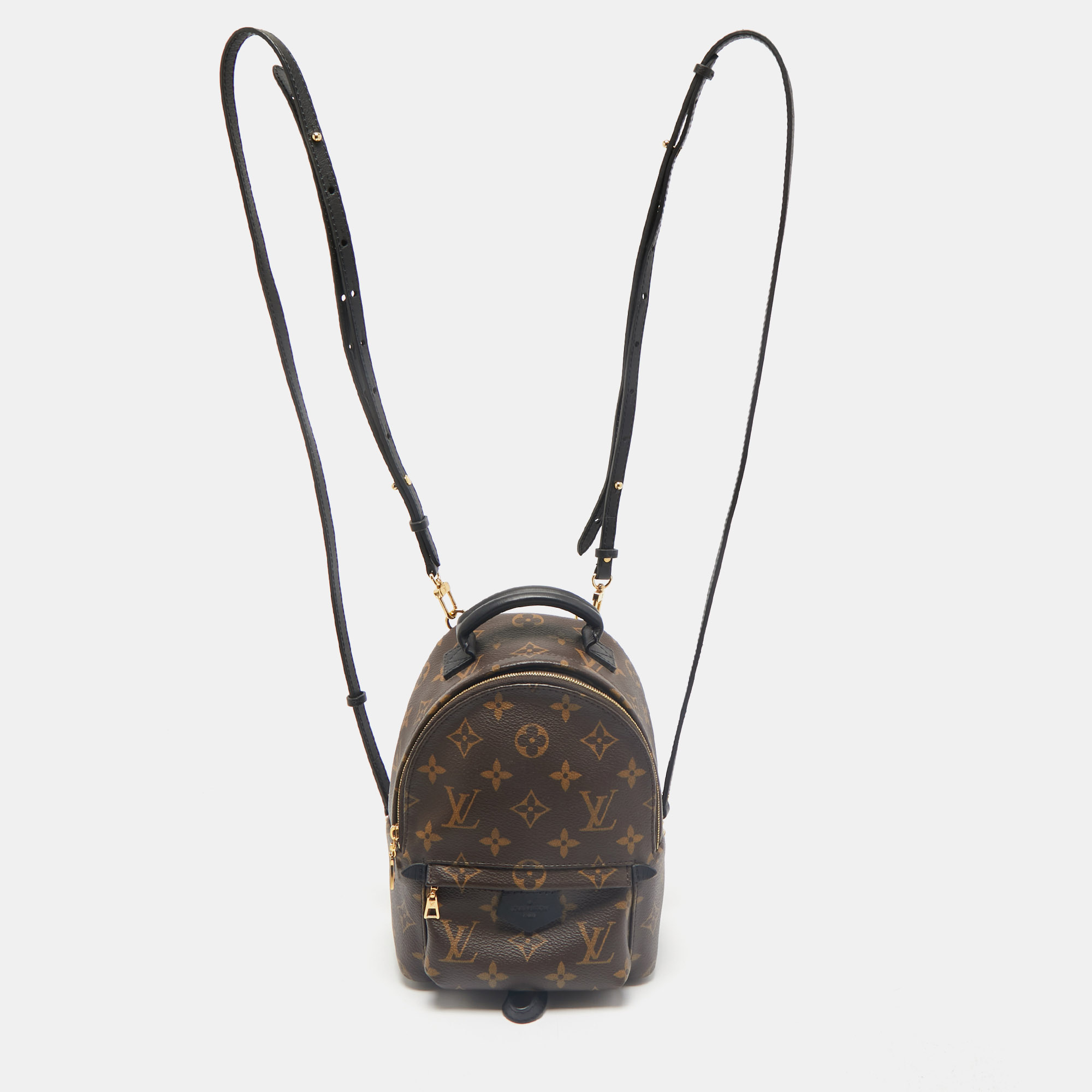 Louis Vuitton Monogram Canvas Mini Palm Springs Backpack, Brown
Louis Vuitton Monogram Canvas Mini Palm Springs Backpack, Brown