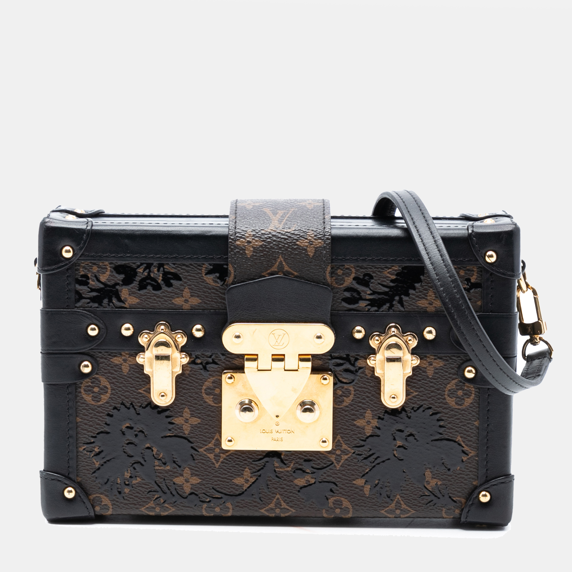 Louis Vuitton Brown Monogram Blossom Petite Malle
Louis Vuitton Brown Monogram Blossom Petite Malle