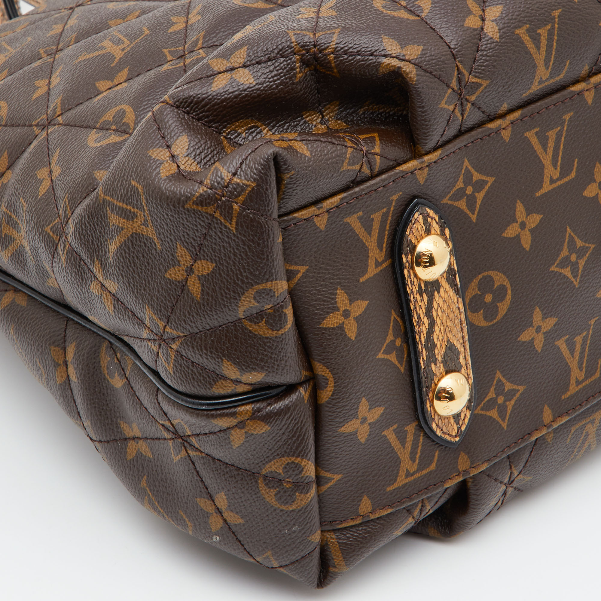 Louis Vuitton Monogram Canvas Limited Edition Etoile Exotique GM Bag