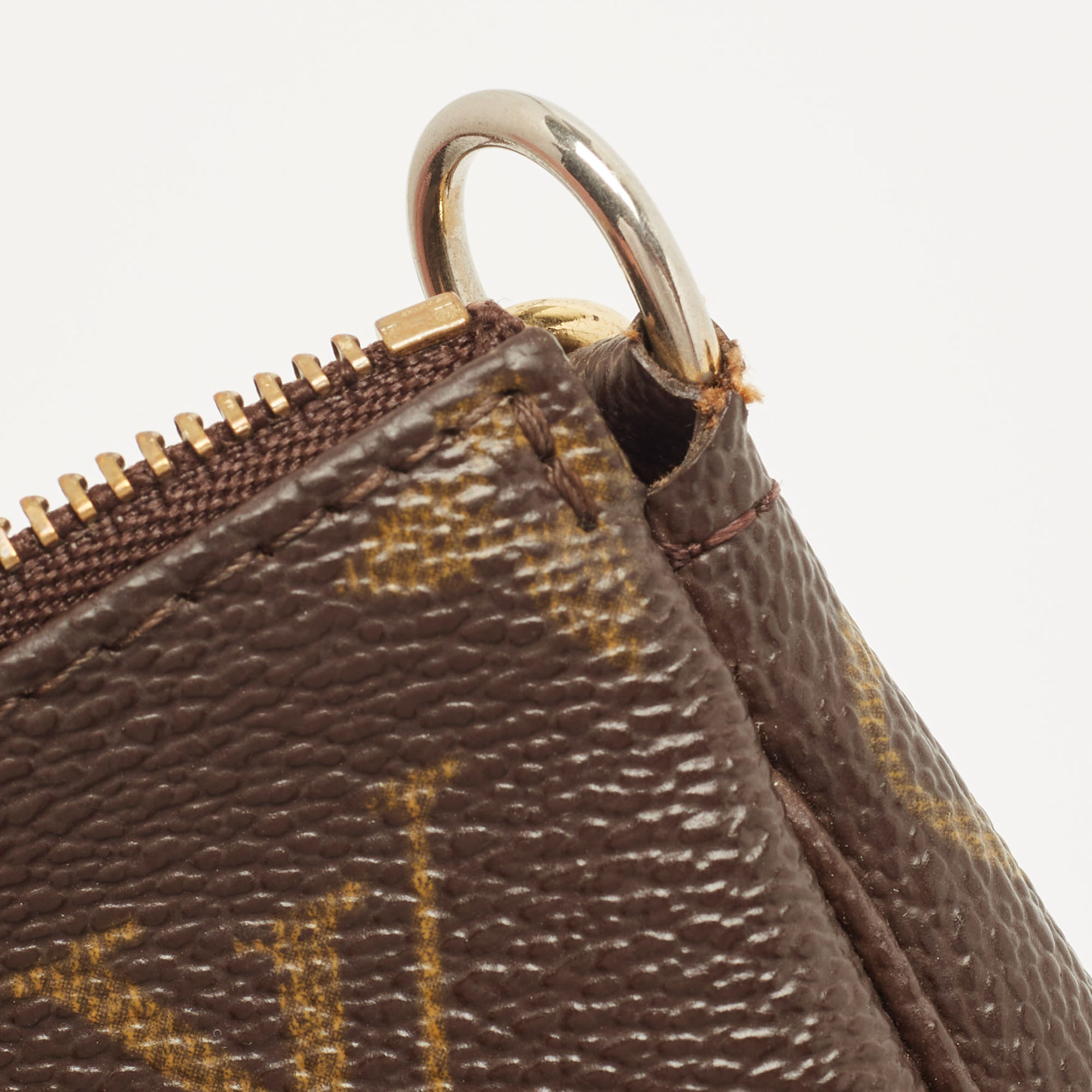 Louis Vuitton Monogram Canvas Pochette Accessoires Bag